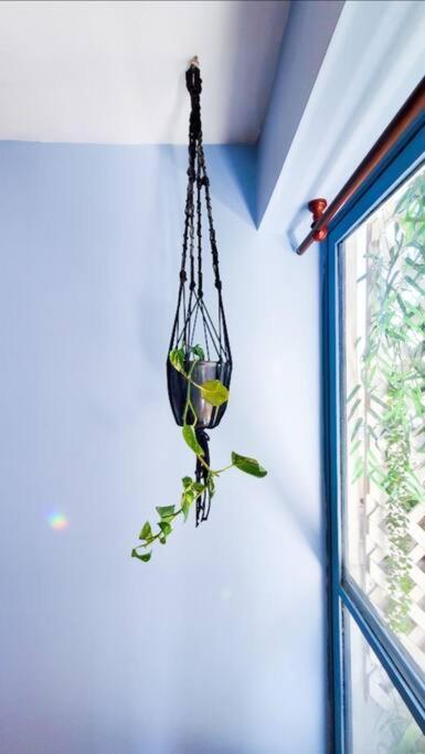 Apartamento Un Oasis En El Centro De
