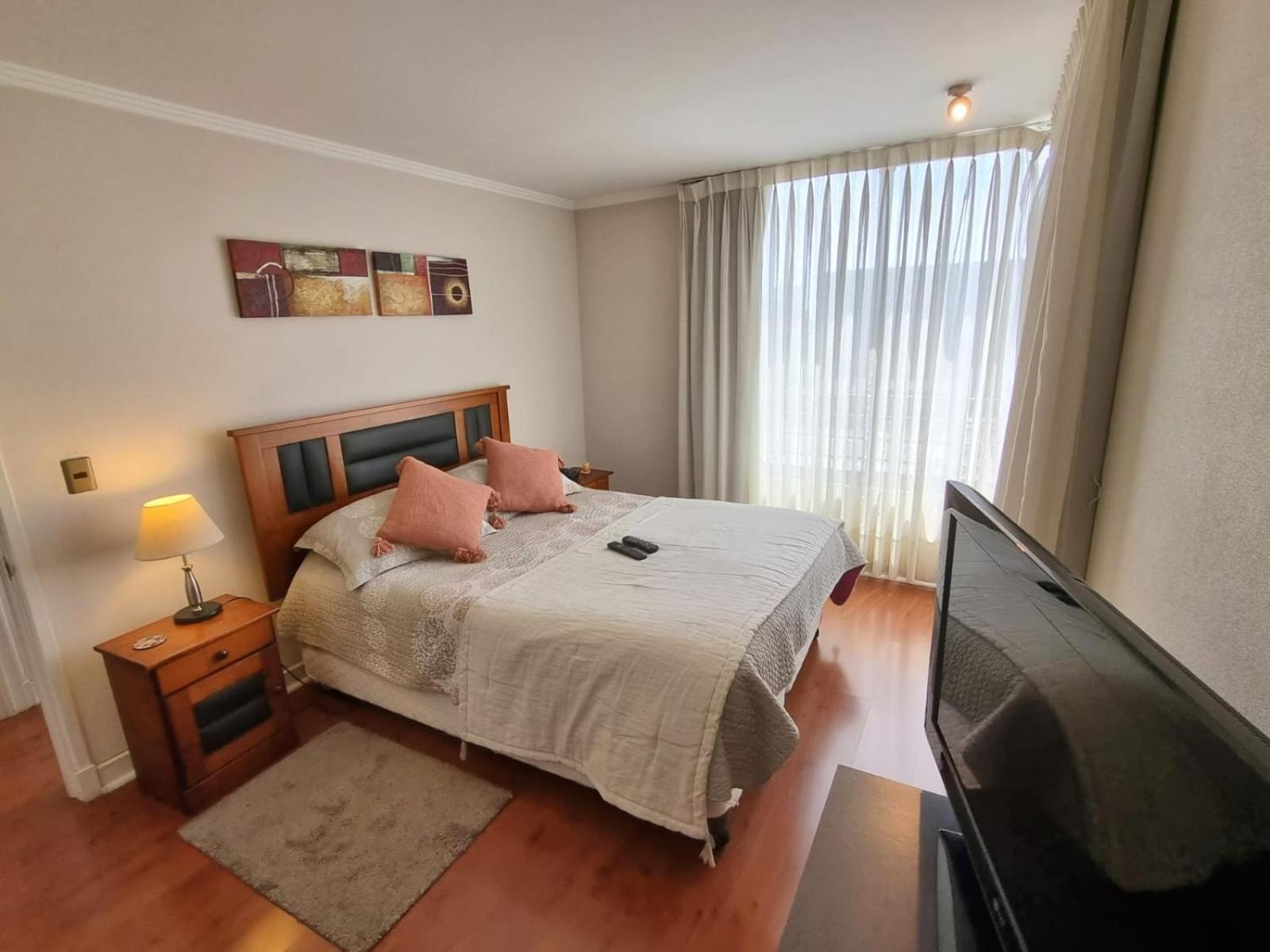 Apartment Moneda *