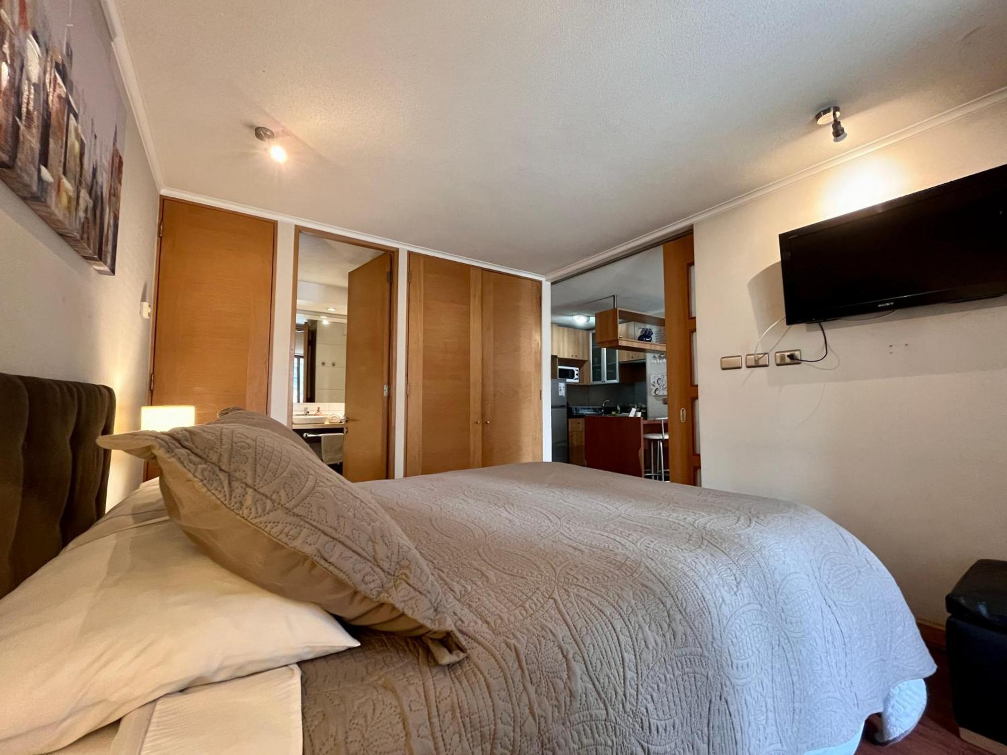 Apartment Centro Leones *