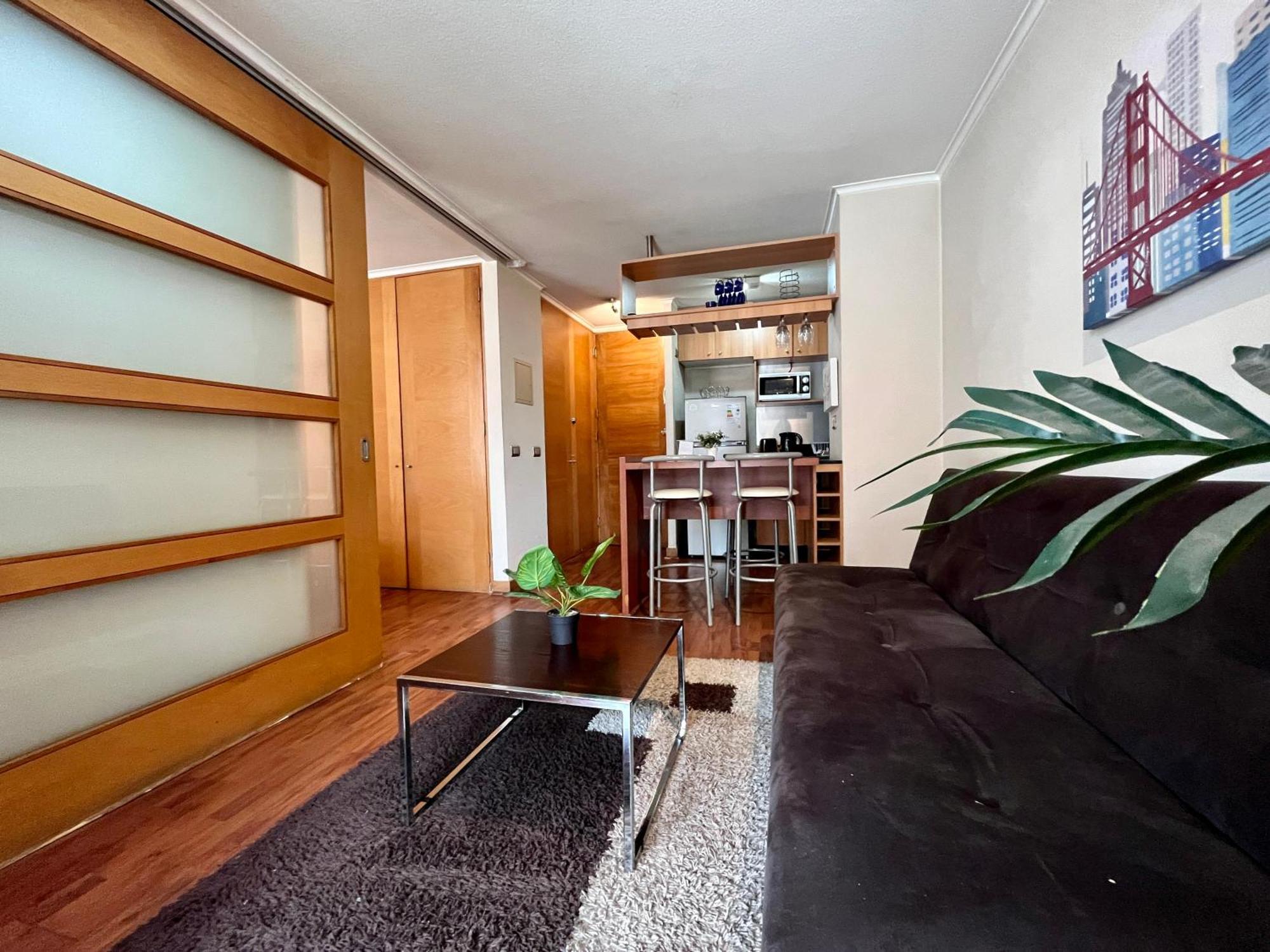 Centro Leones Apartment