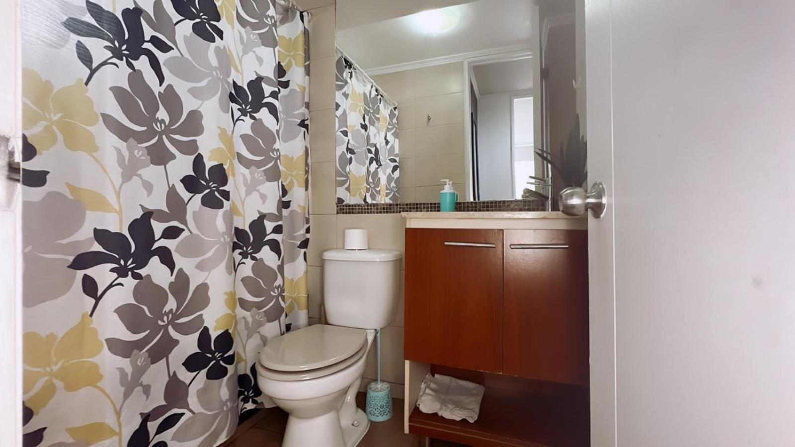 Apartment Bulnes Santiago