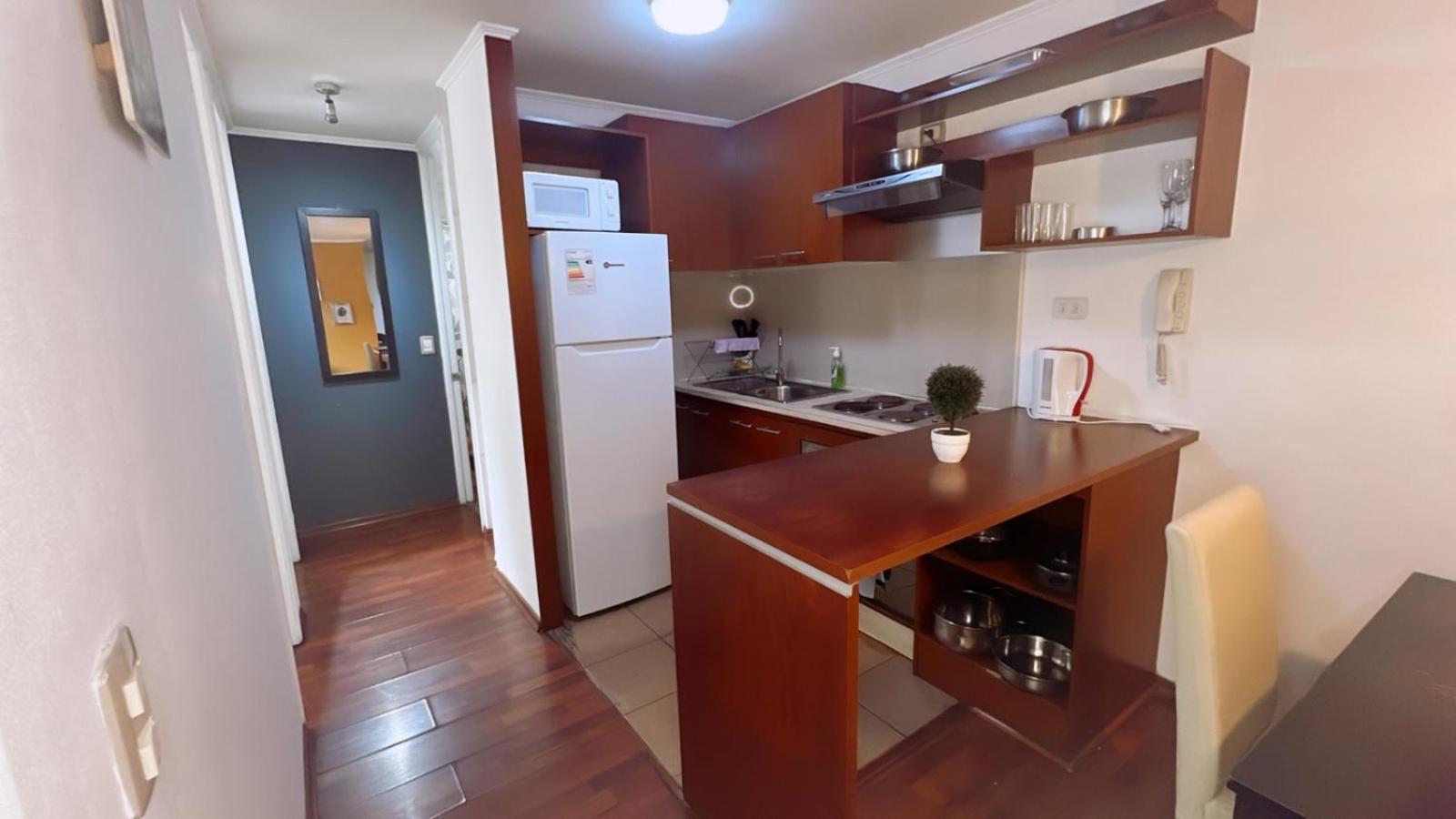Bulnes Apartment *