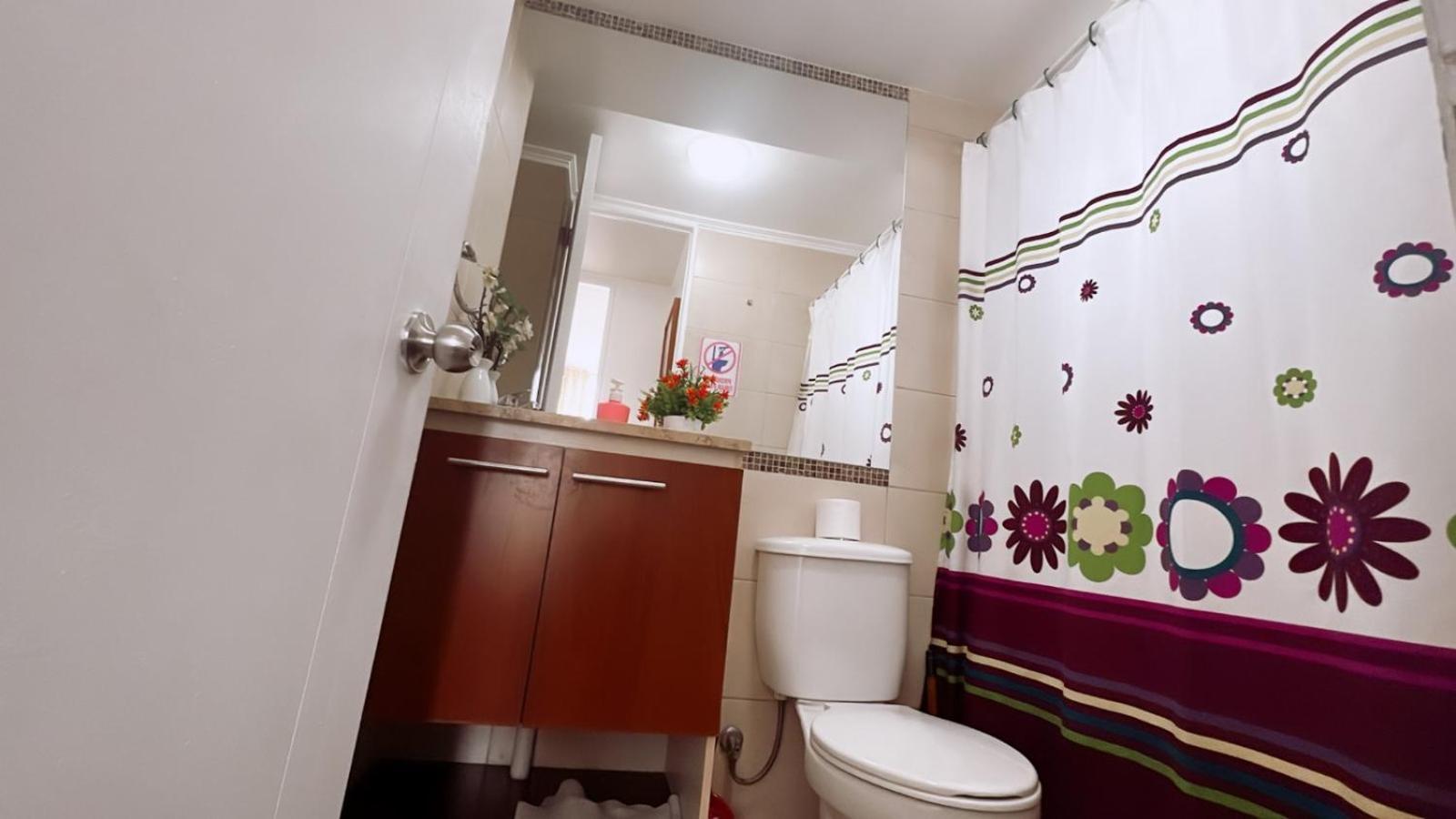 Bulnes Apartment