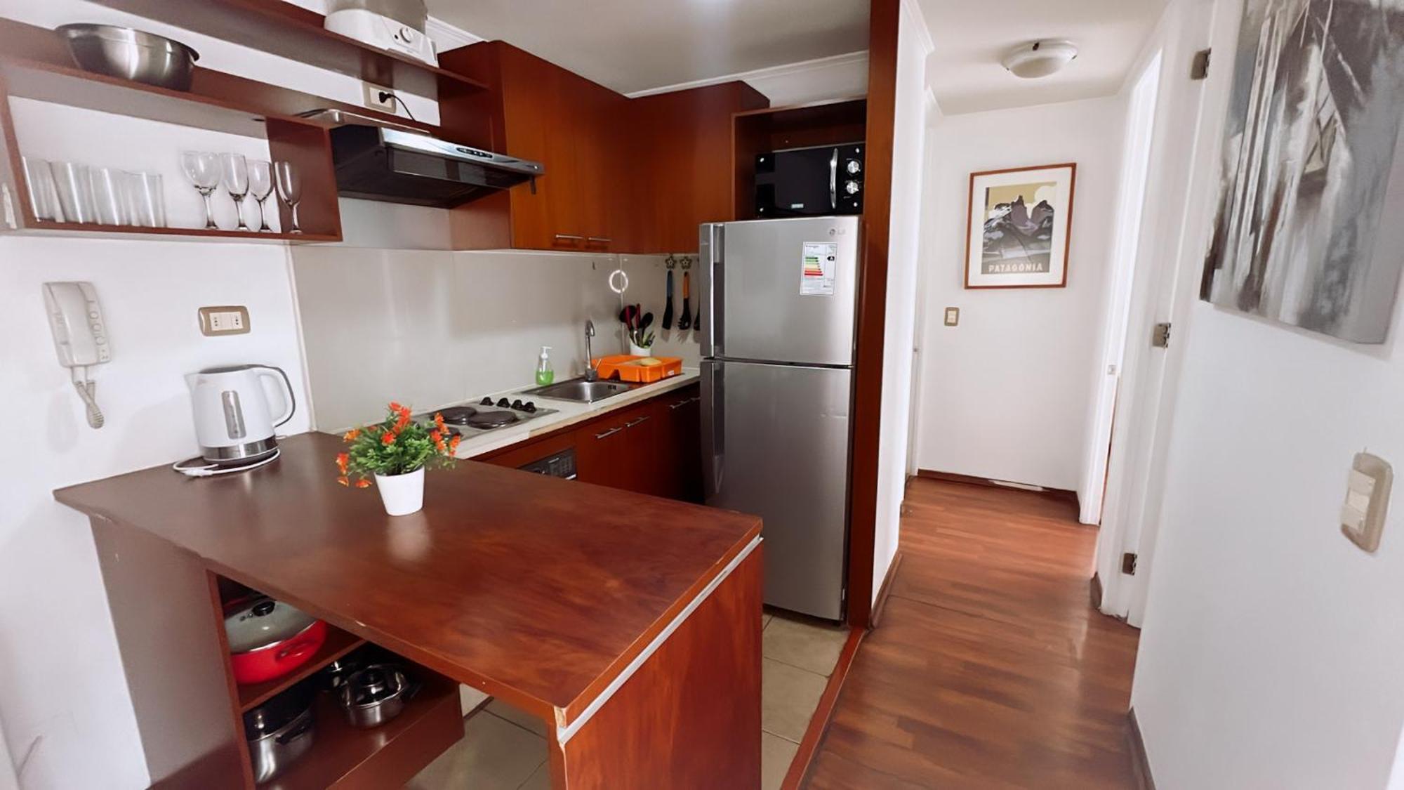 Bulnes Apartment *