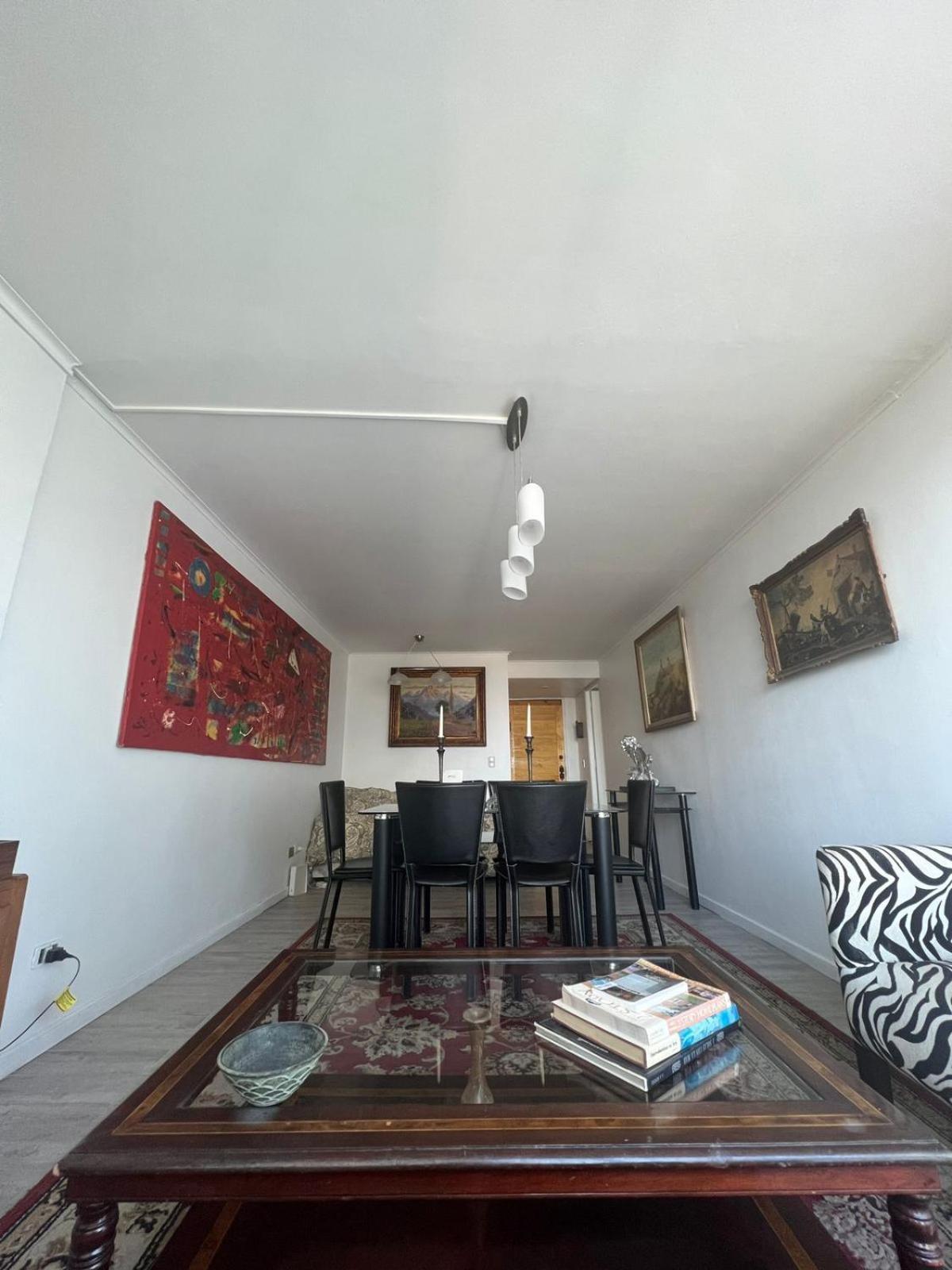 Master Lyon Apartment Santiago