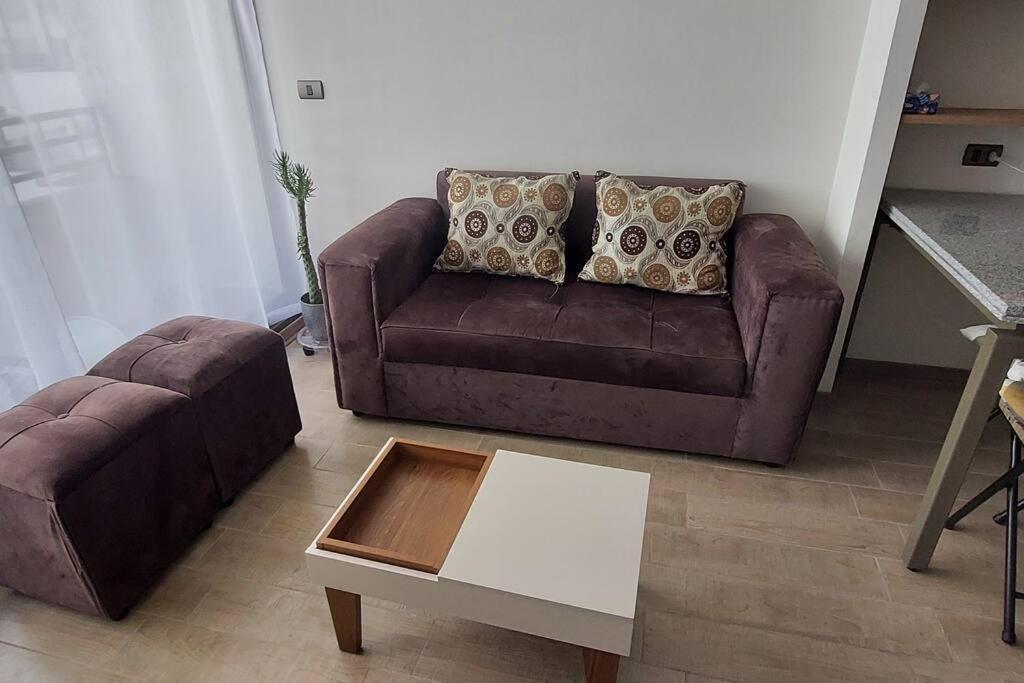 Atractivo Y Acogedor Espacio. Apartment *