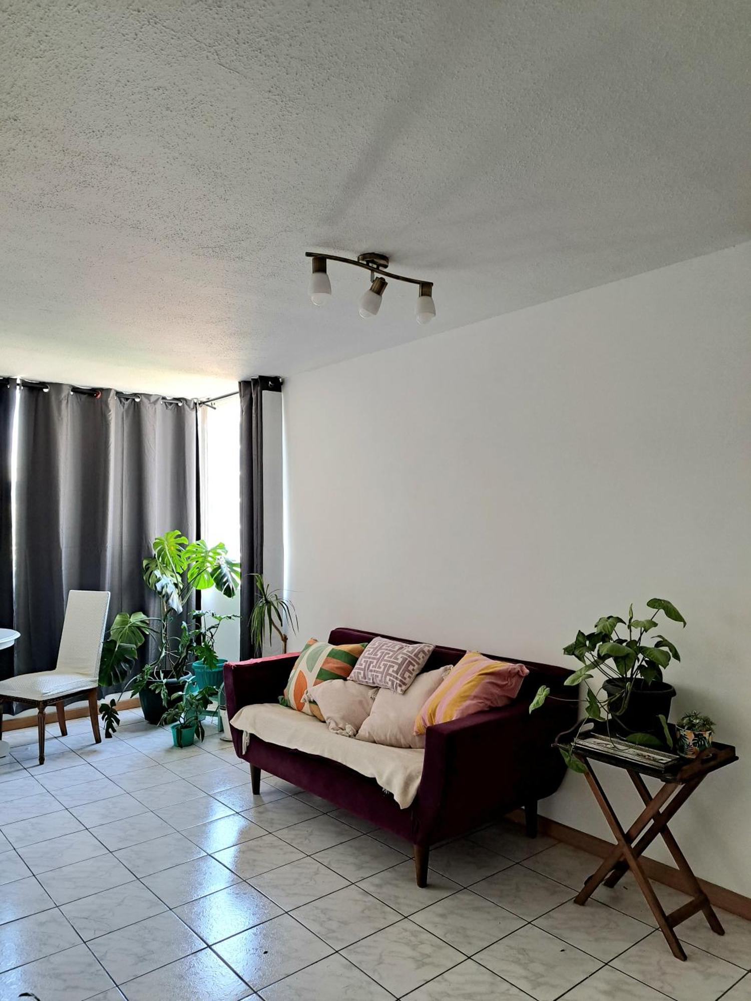Habitacion En Departamento En Barrio Universitario Homestay *