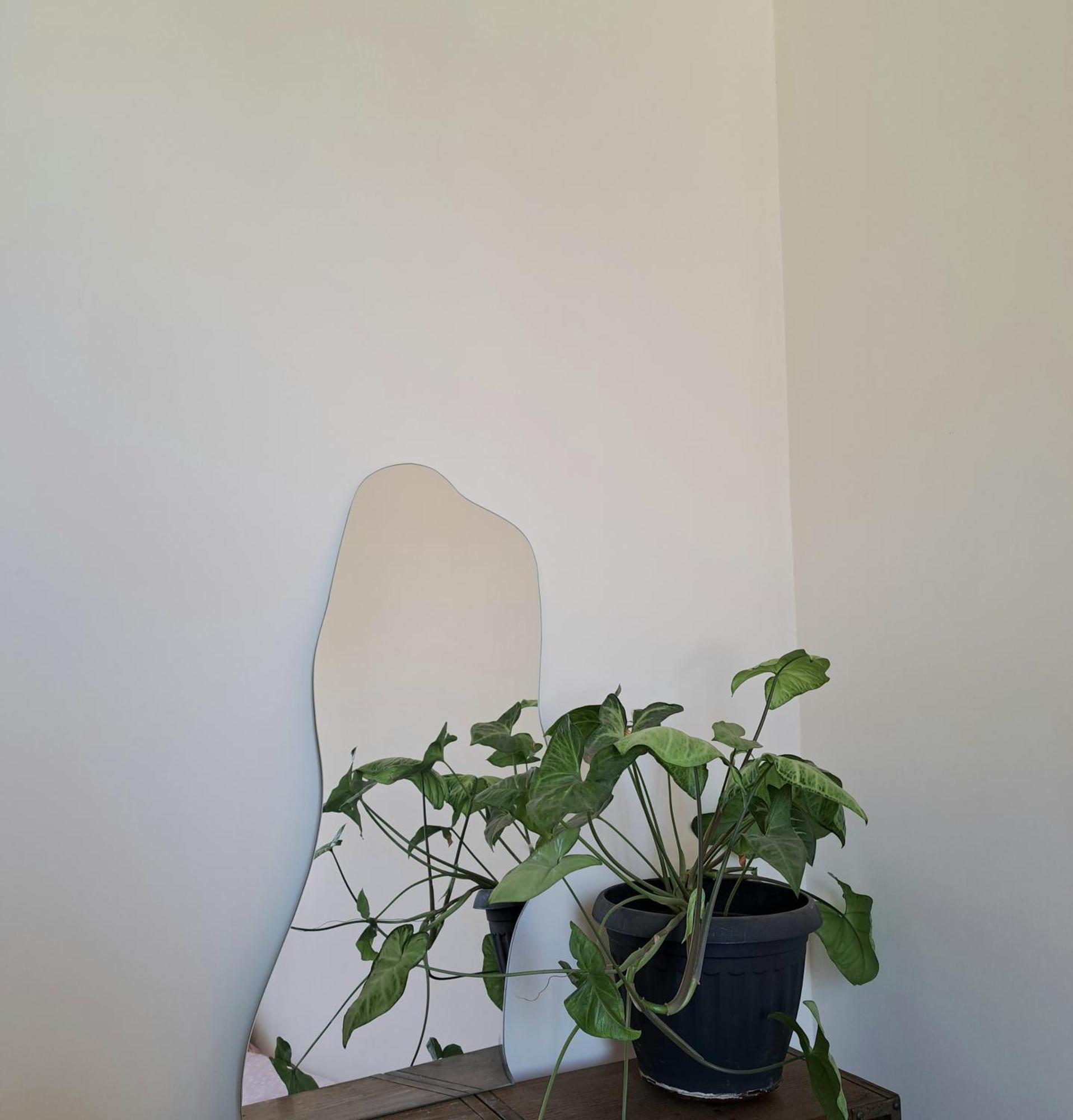 Habitacion En Departamento En Barrio Universitario Homestay Santiago