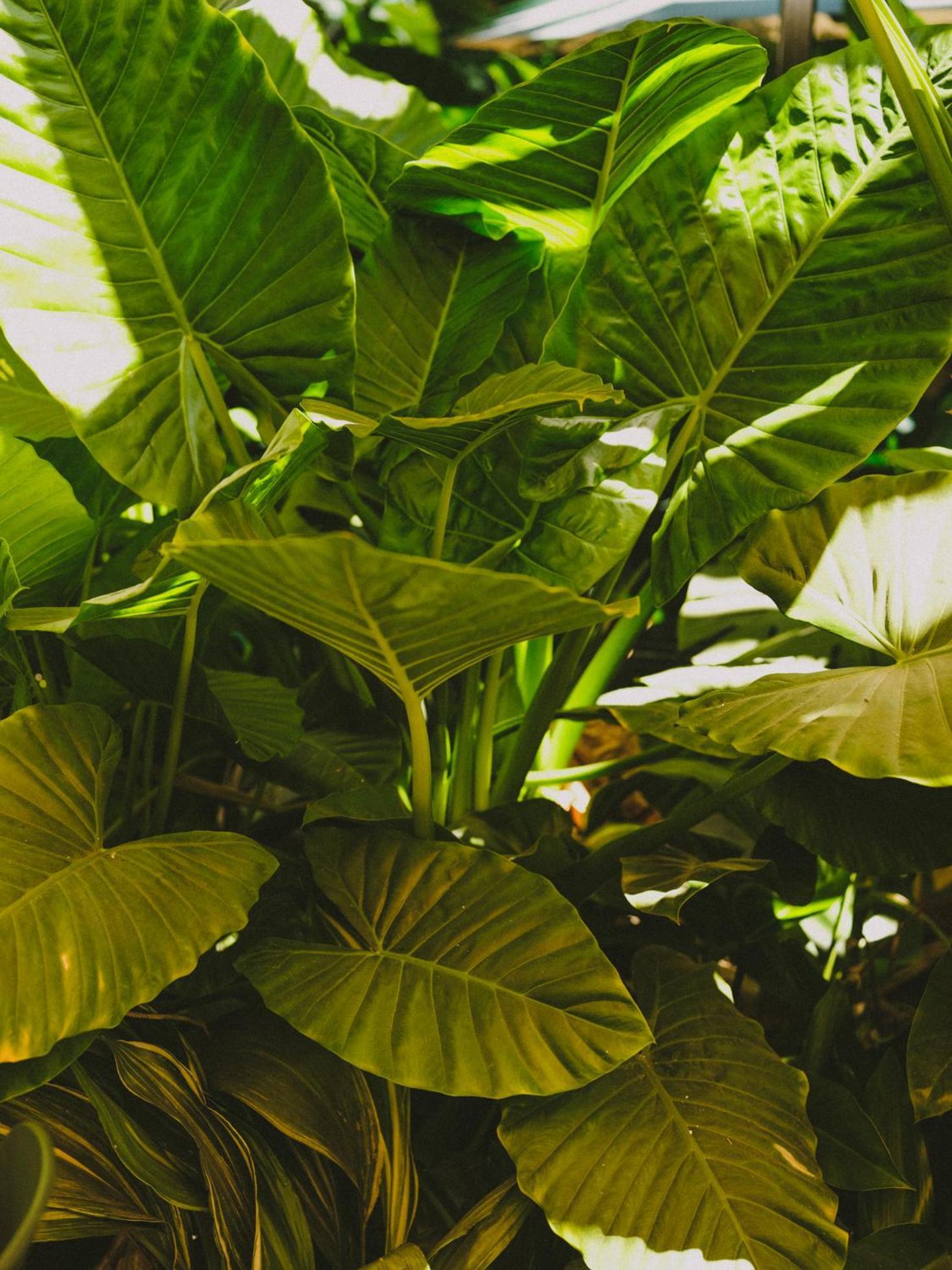 Eco Boutique Bidasoa Khách sạn Santiago
