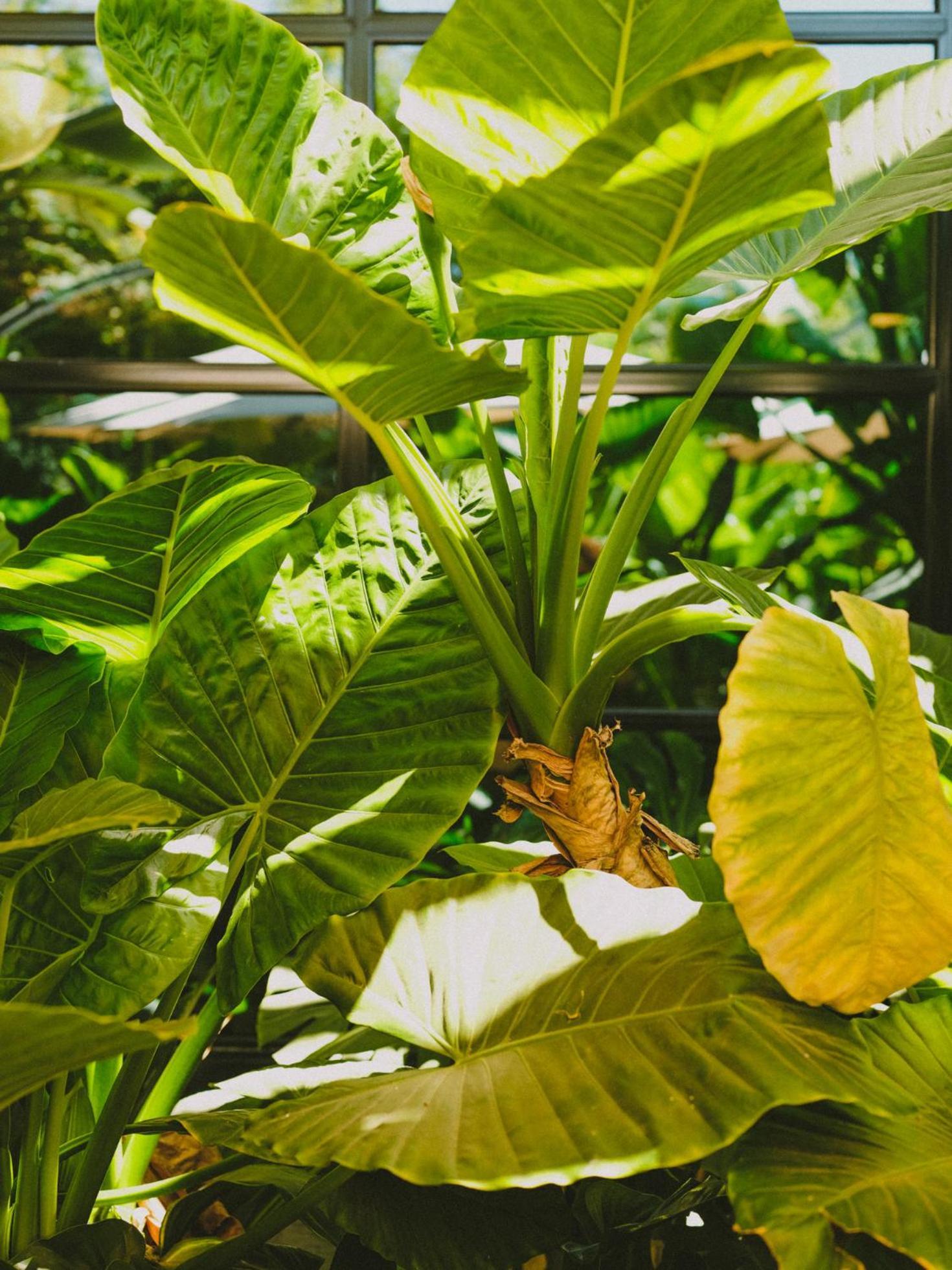 Khách sạn Eco Boutique Bidasoa