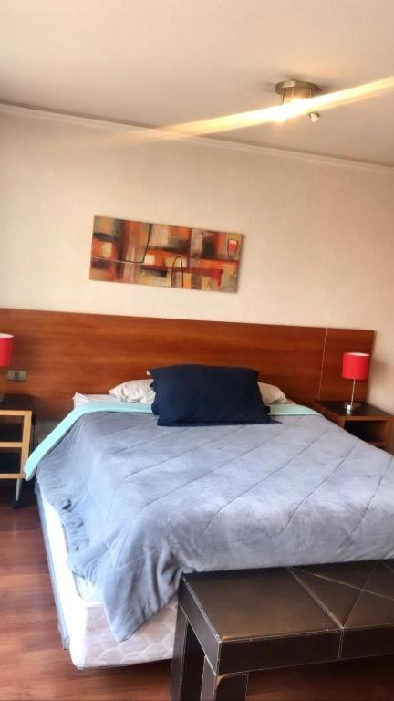 Apartment Providencia Studio Con Terraza Santiago