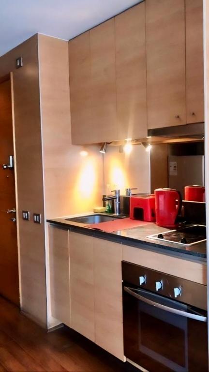 Providencia Studio Con Terraza Apartment
