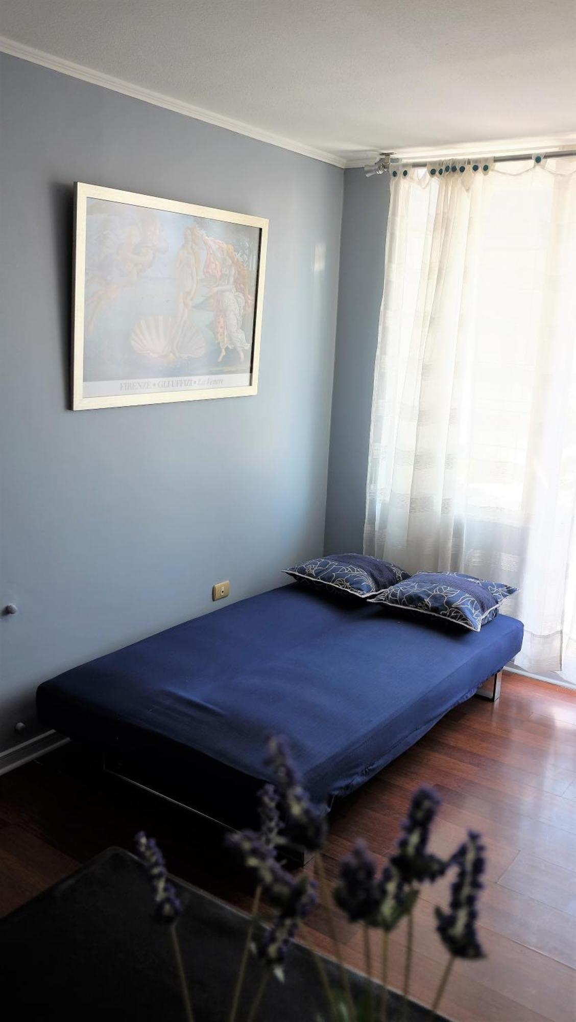 Apartment Welcome To - Chile Santiago