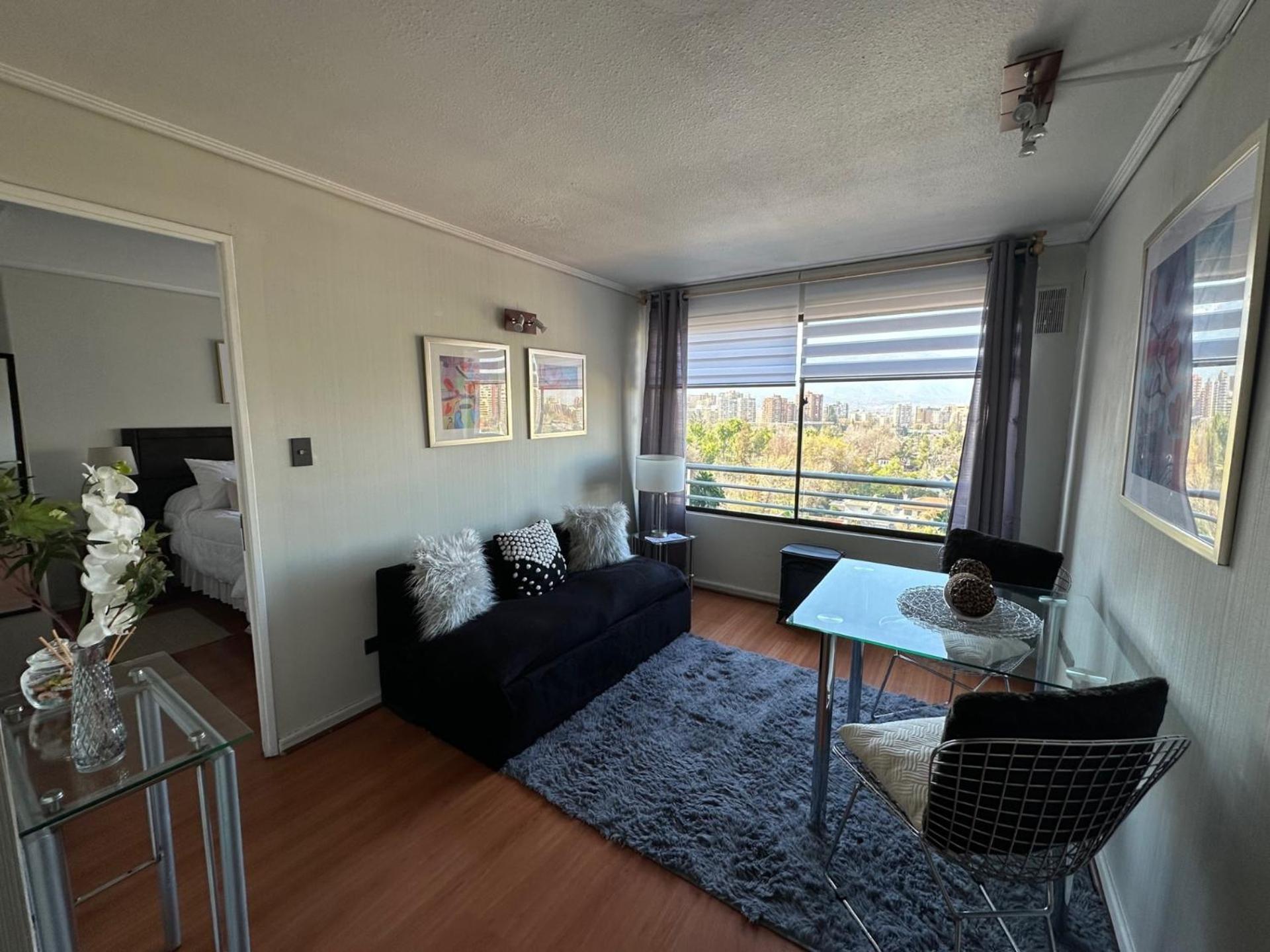 Apartment Depto Condes
