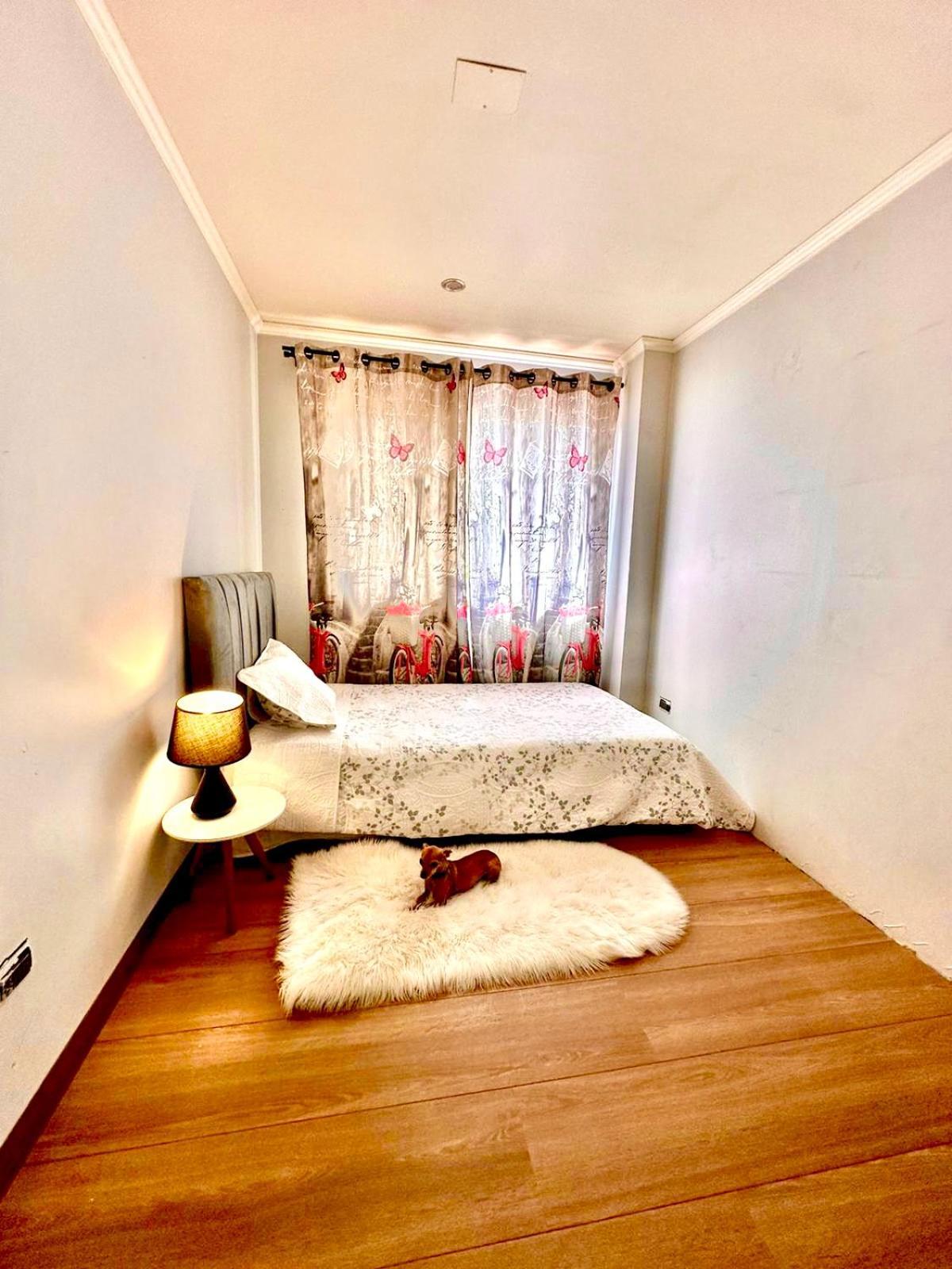 Homestay Palazzo Dolce Vita *