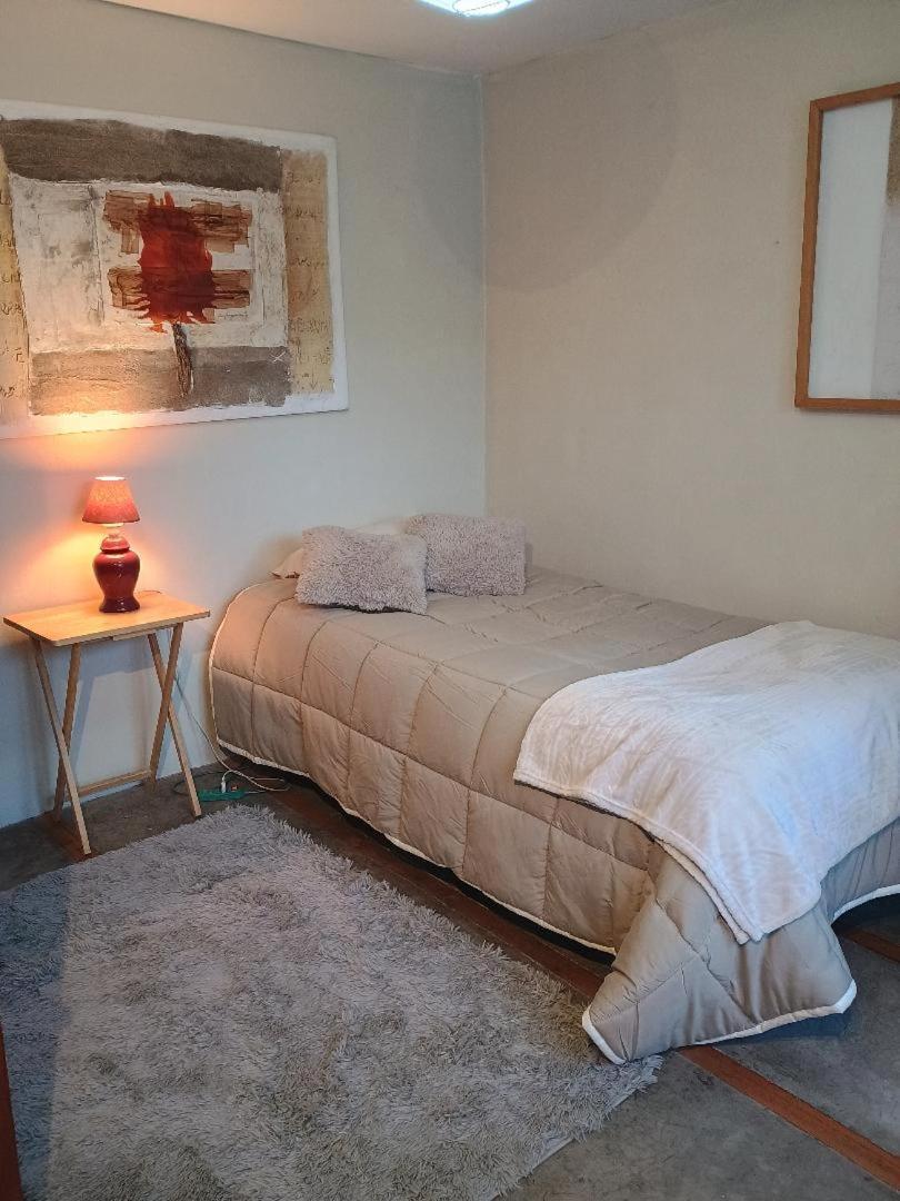 Habitación Tranquila: Naturaleza Y Cerro San Cristóbal