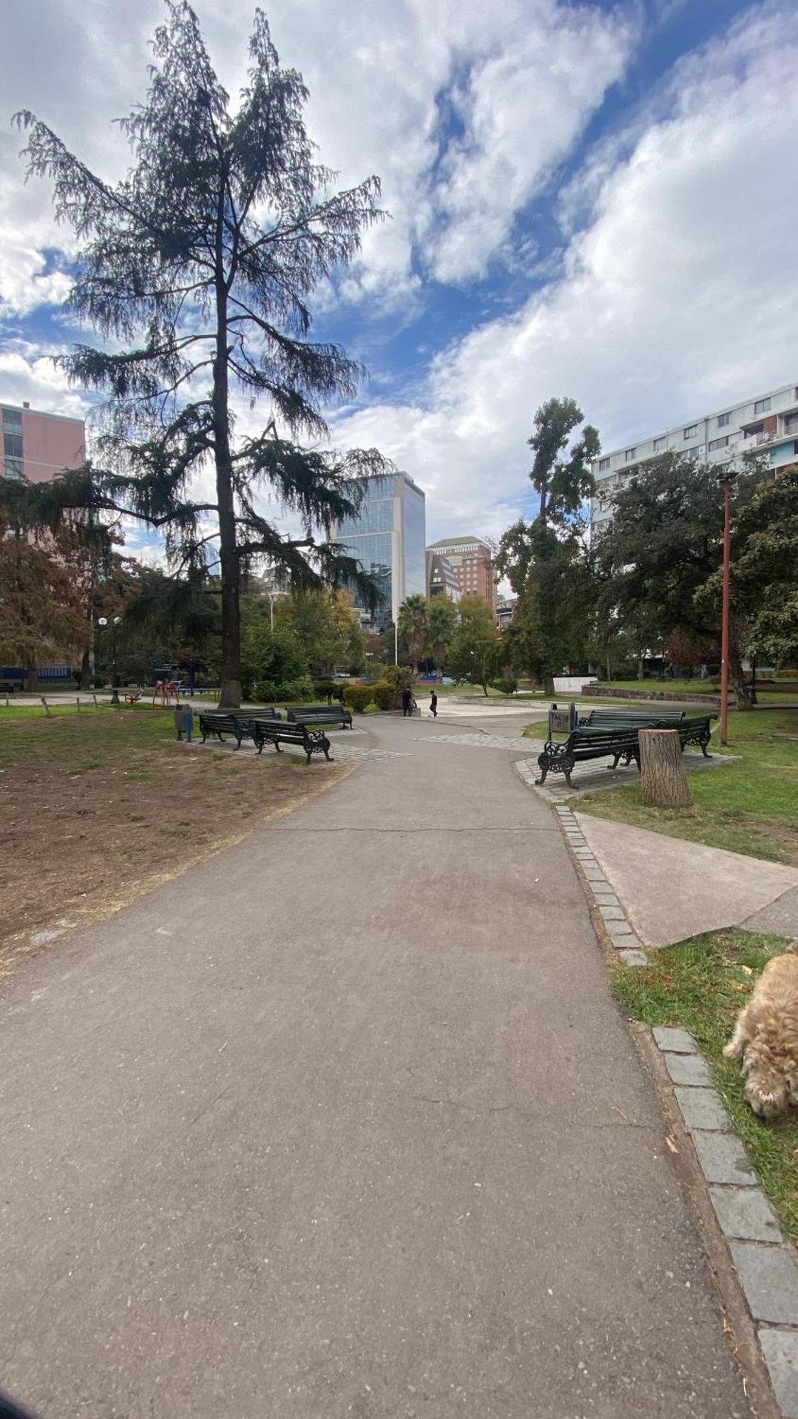 Hospedagem domiciliar Arriendo En Providencia