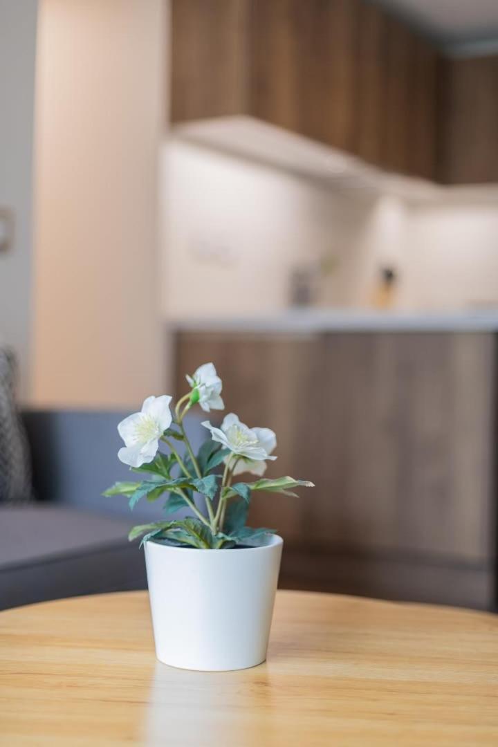 Oasis De Confort En Condes Apartment *