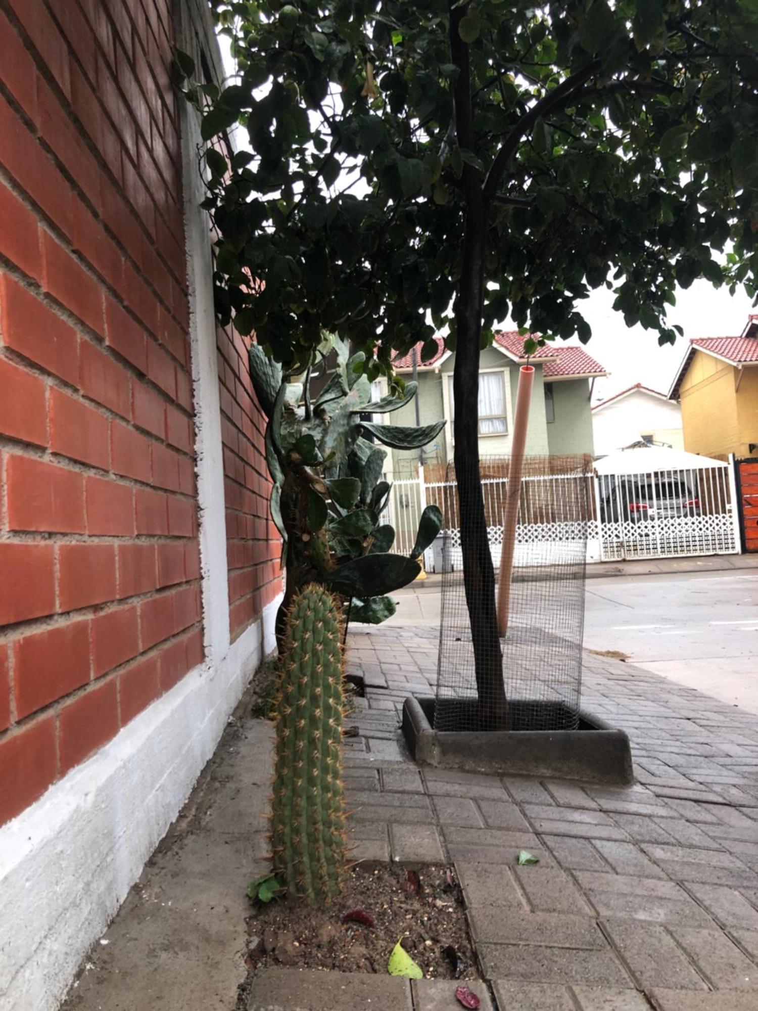 Tu Espacio Re - Cerca Del Aeropuerto *