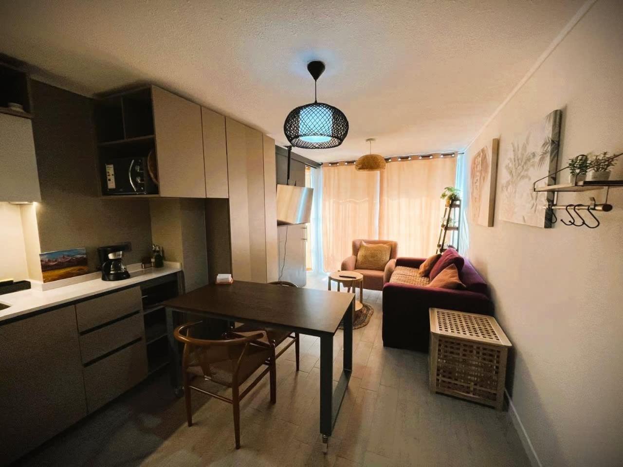 Hom I Amplio Y Comodo Depto 1d1b Apartment Santiago
