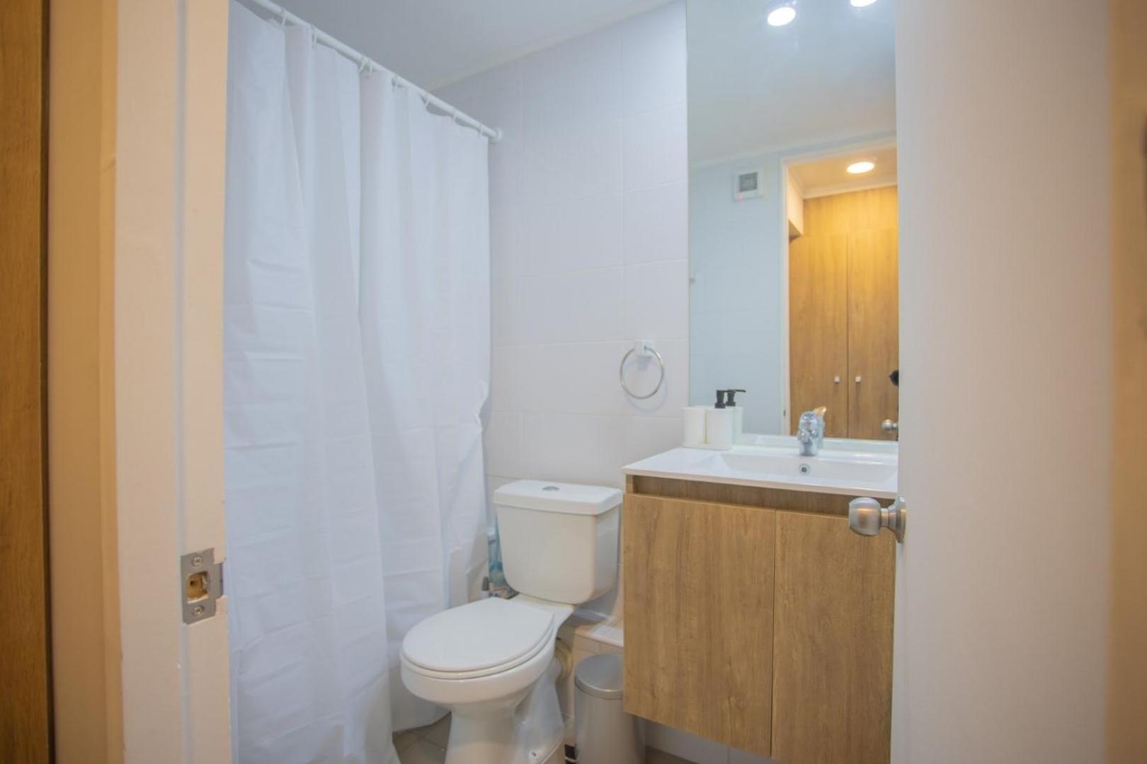 Descubre Apartstudio Urbano Y Elegante Santiago