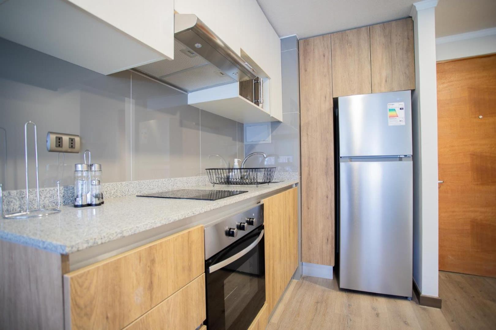 Descubre Apartstudio Urbano Y Elegante Apartment Santiago
