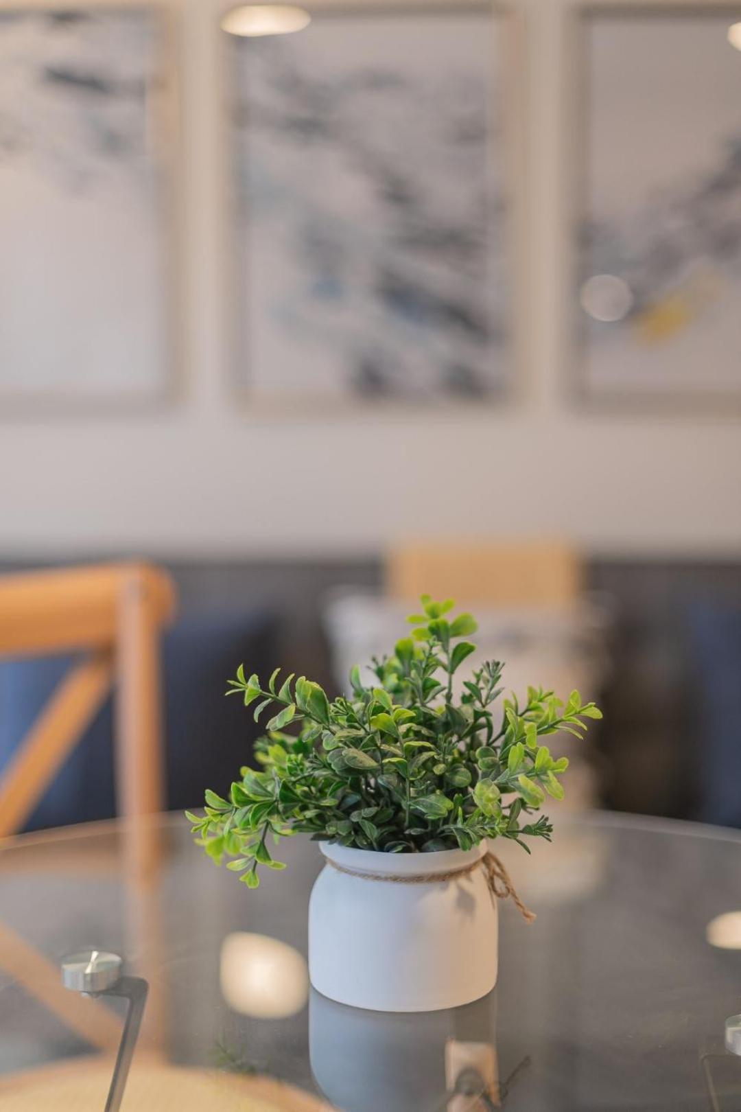 Un Oasis En El Centro De Apartment