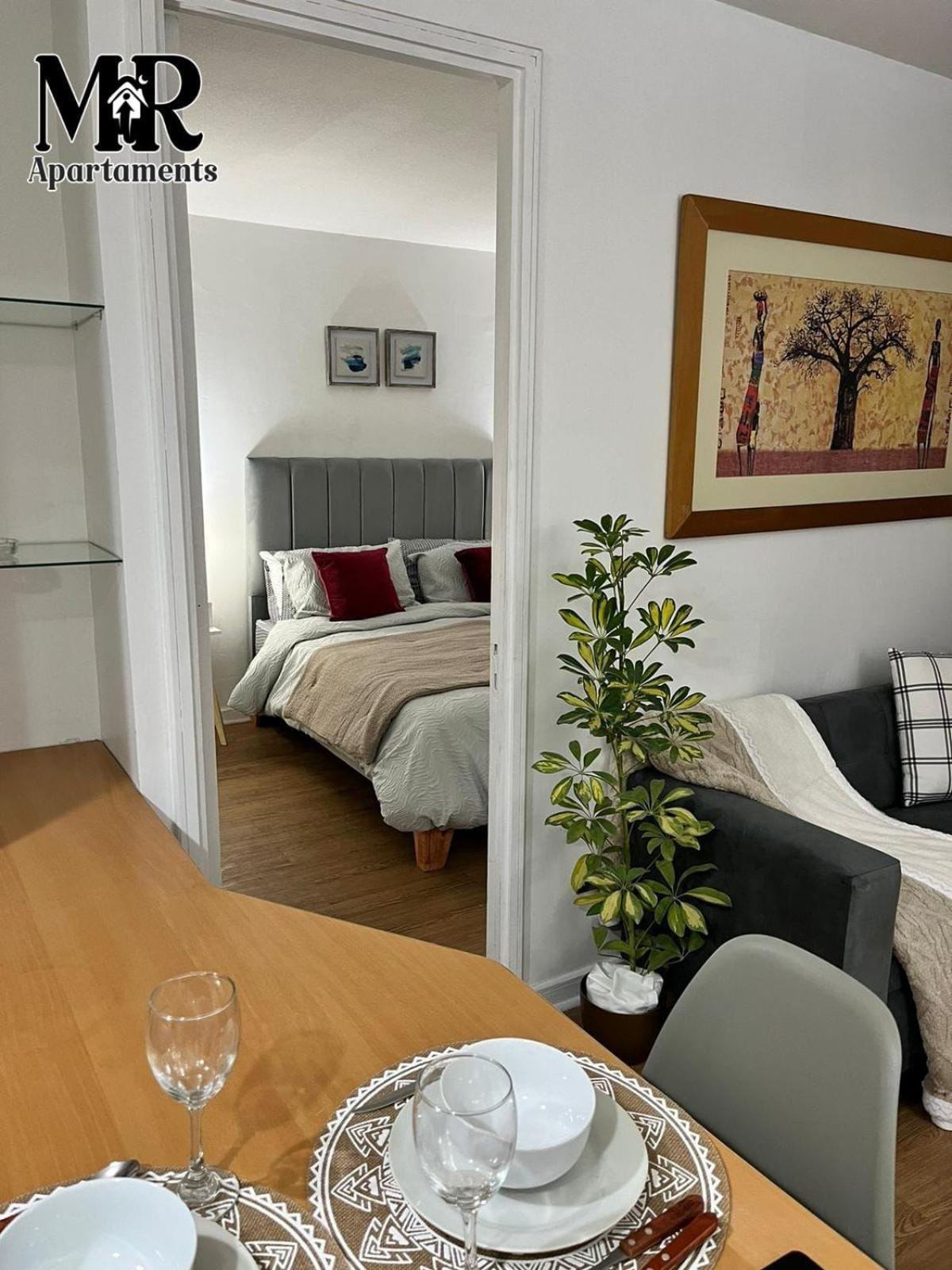 Acogedor Departamento De Una Habitacion Santiago