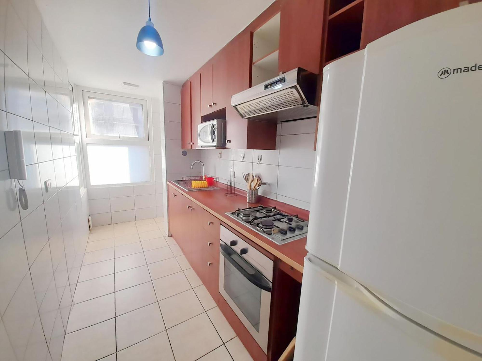 Apartment Vip Chile Santiago