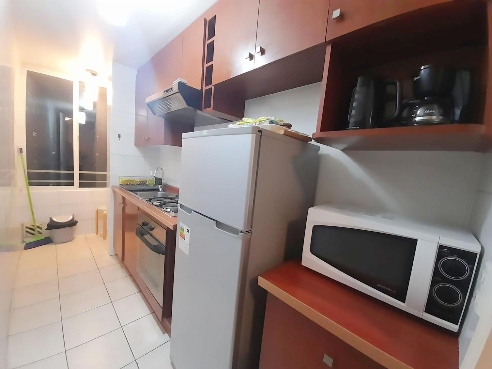 Vip Chile Apartment Santiago