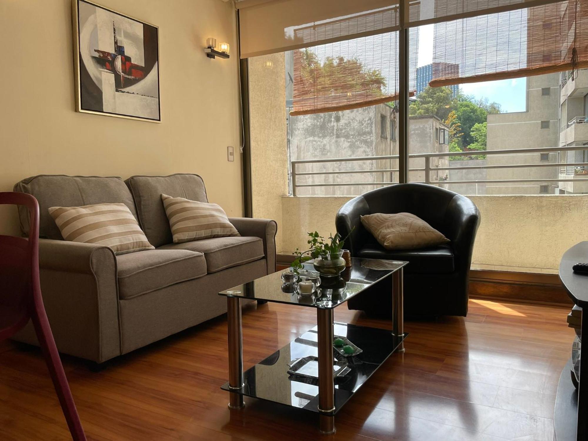 Barrio Lastarria, Excelentes - Sofia Camilla Apartment *