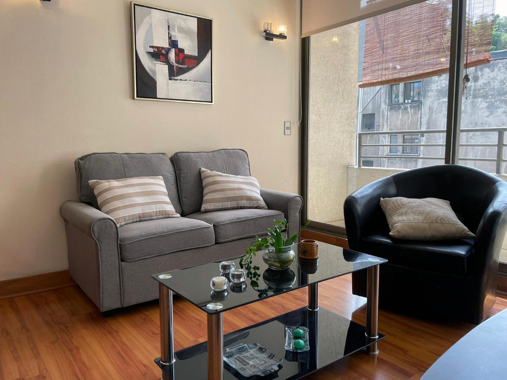 Apartment Barrio Lastarria, Excelentes - Sofia Camilla Santiago