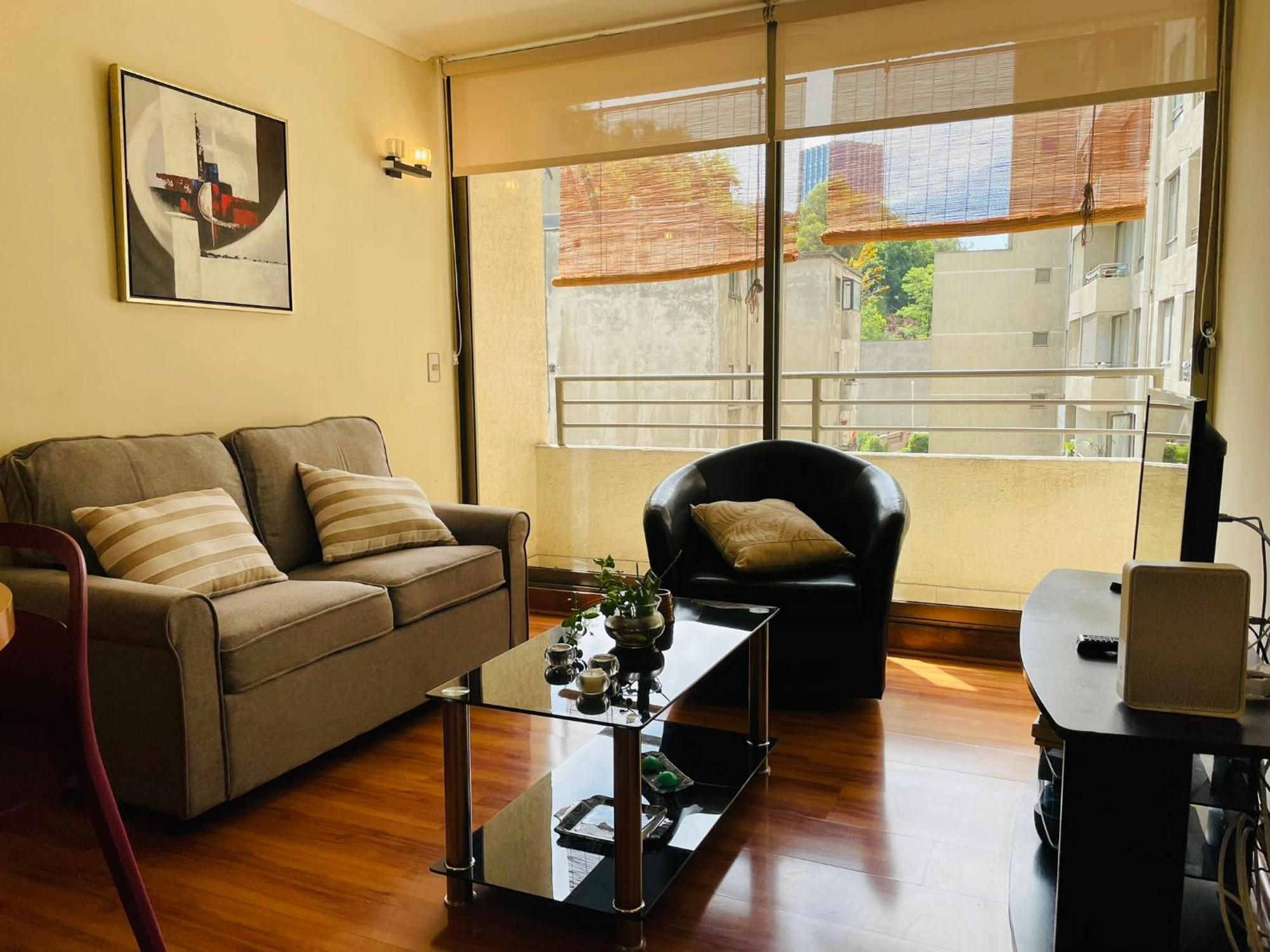 Barrio Lastarria, Excelentes - Sofia Camilla Apartment