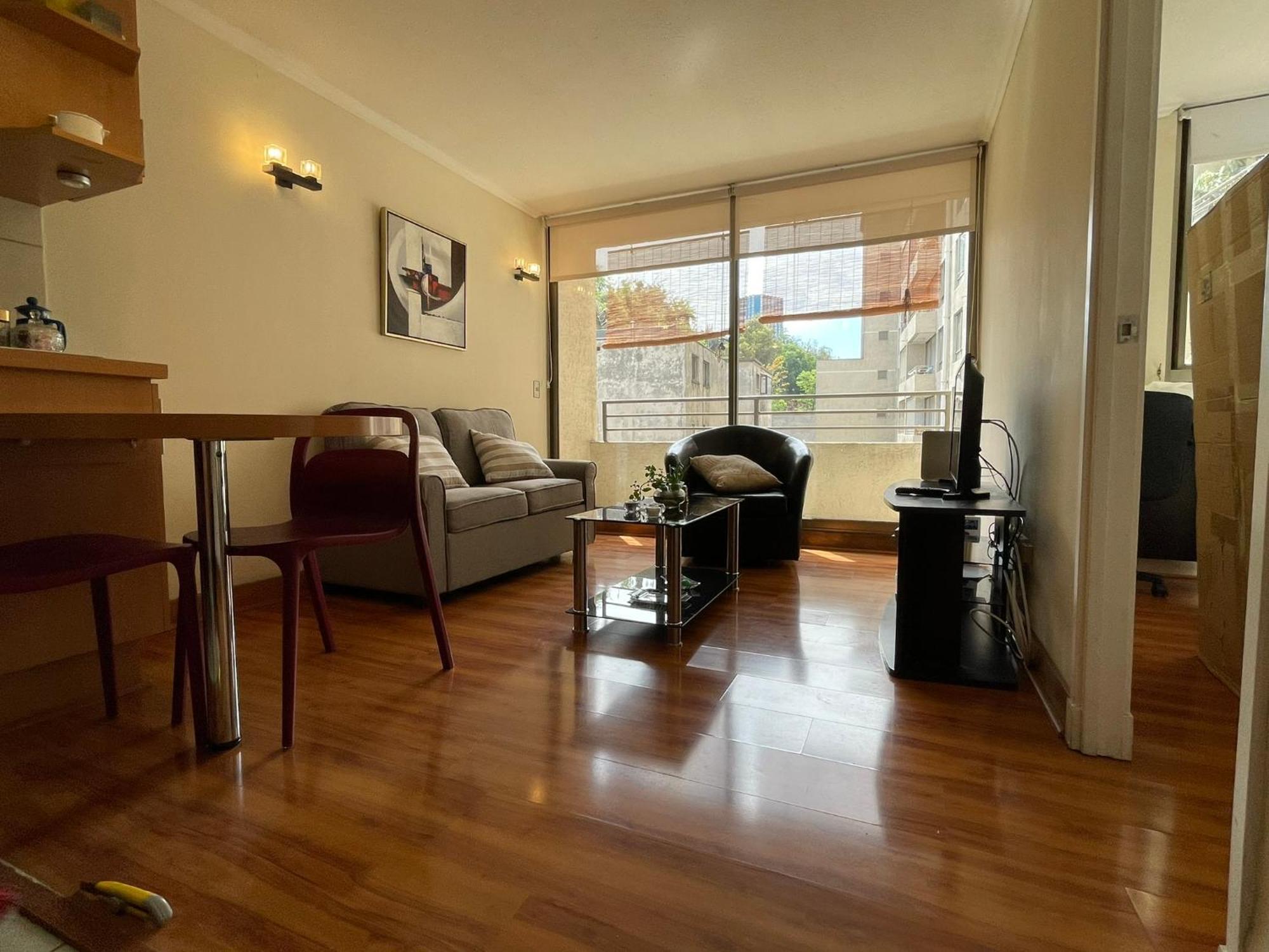 Barrio Lastarria, Excelentes - Sofia Camilla Apartment