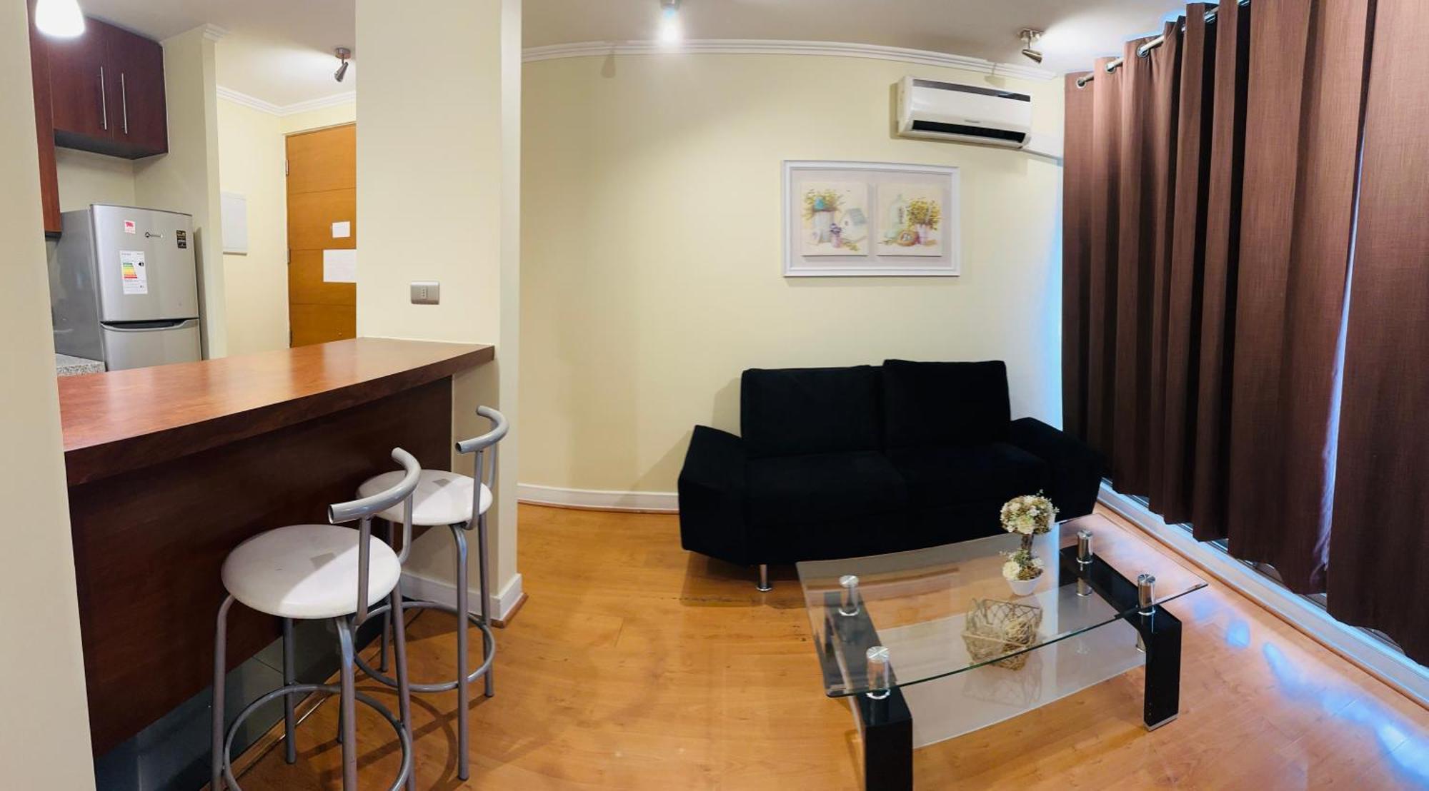 Apartment Sector Turistico Y Ejecutivo, Providencia Santiago