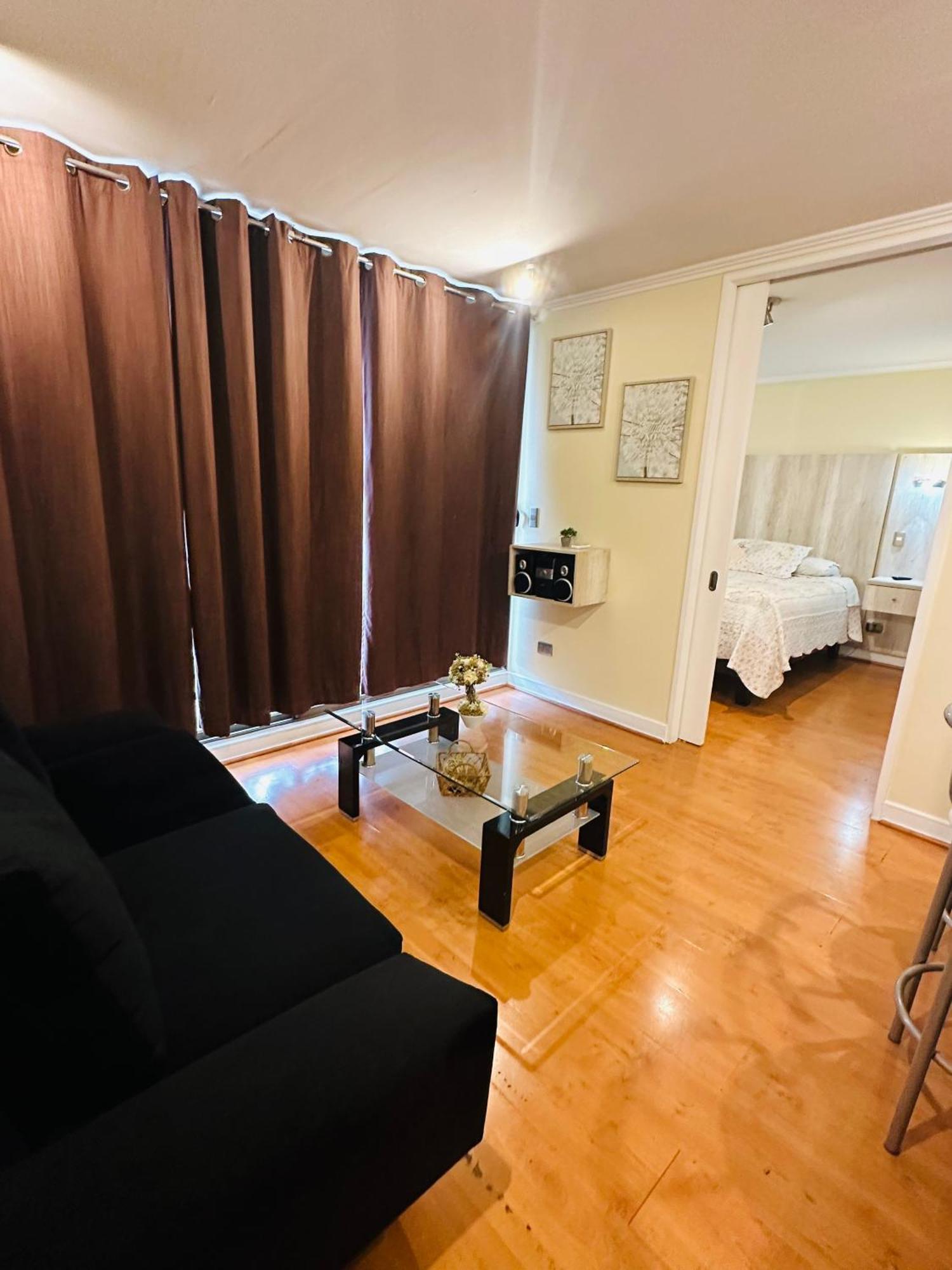 Sector Turistico Y Ejecutivo, Providencia Apartment Santiago