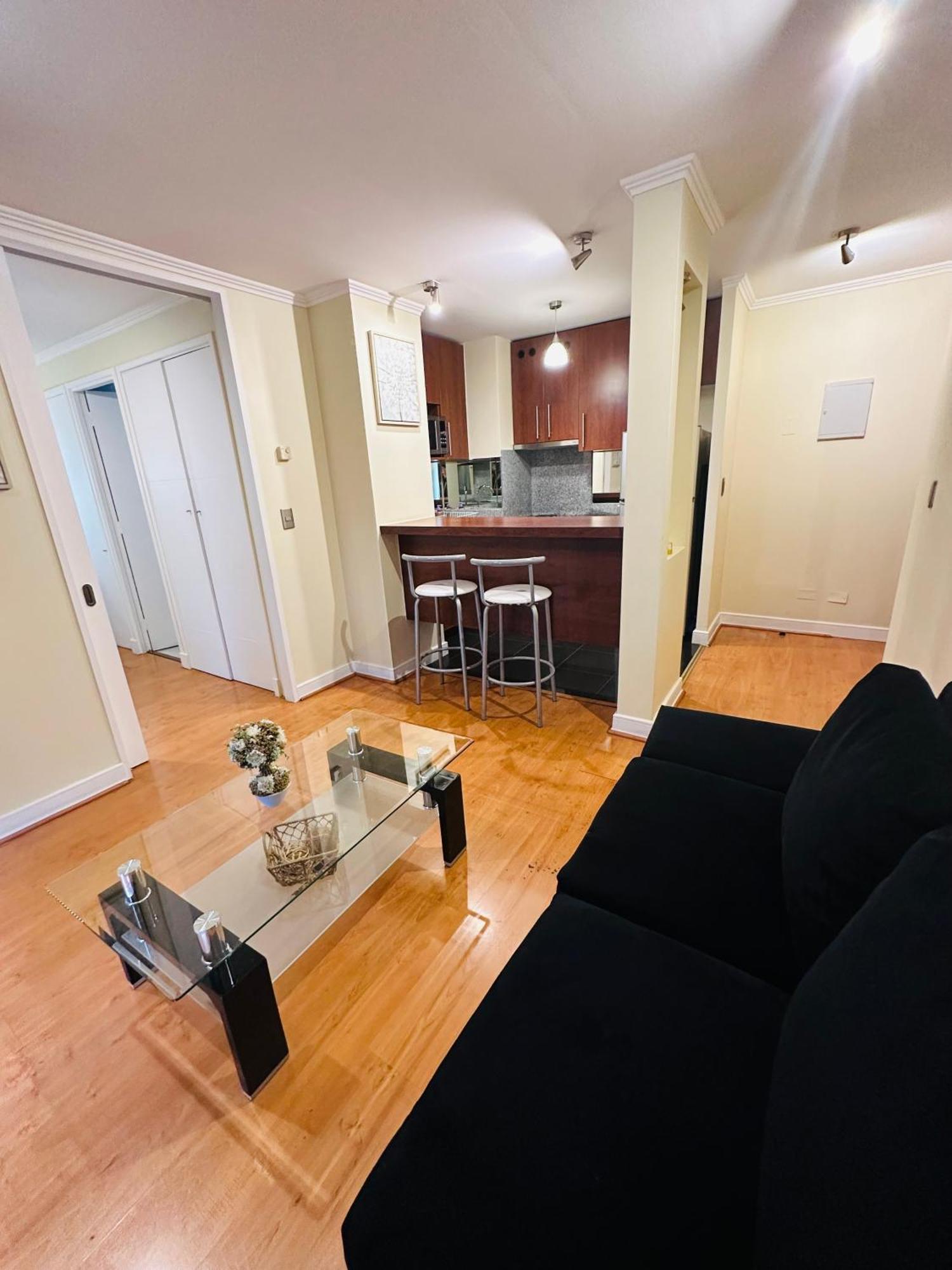 Sector Turistico Y Ejecutivo, Providencia Apartment Santiago