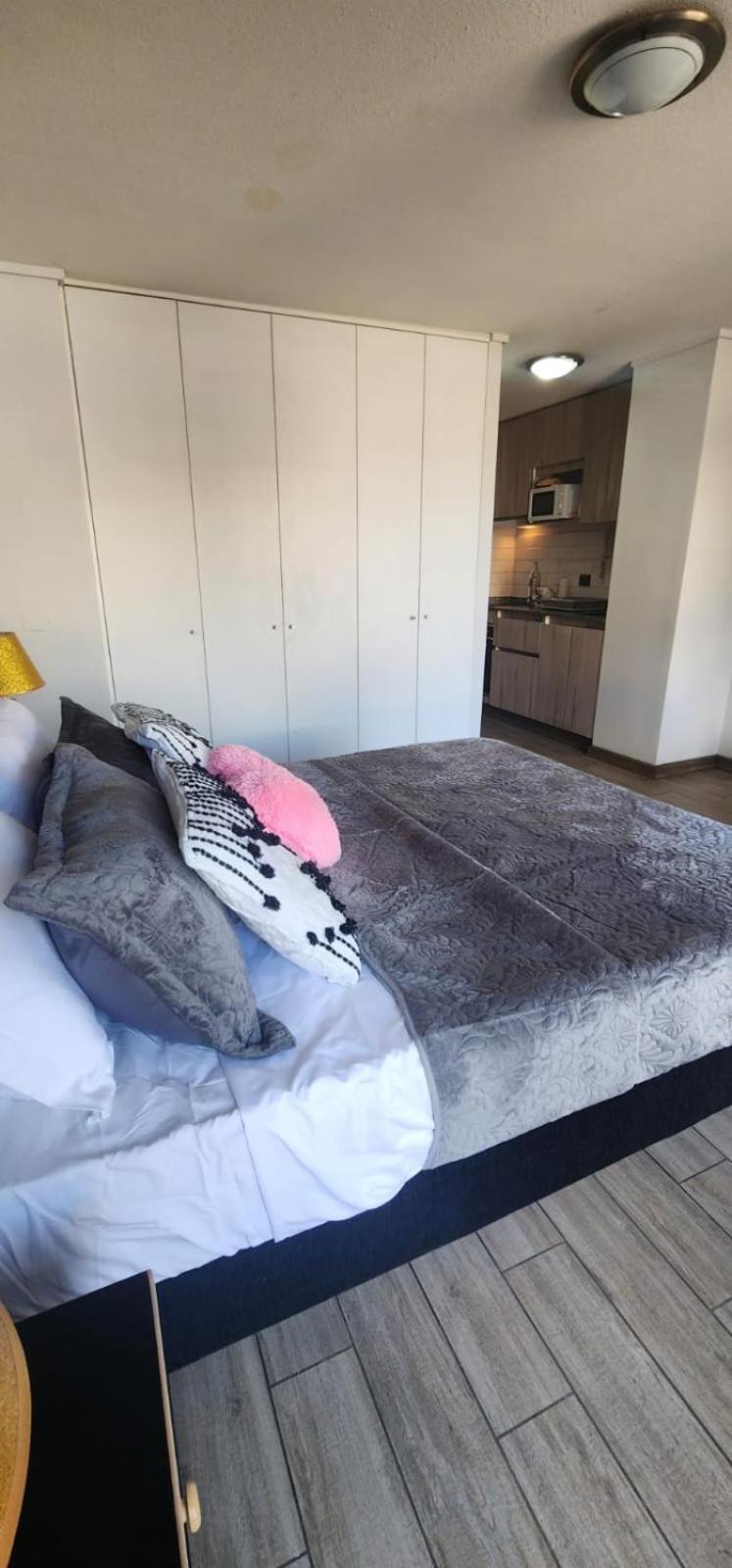 Loft Sorprendente Con Gym En Comuna Independencia Santiago de Chile