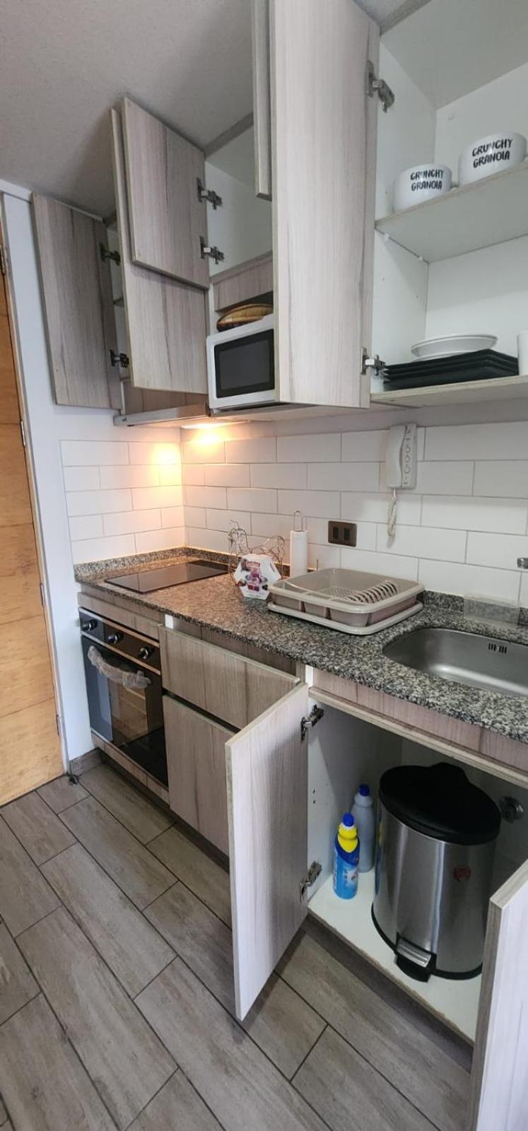 Apartamento Loft Sorprendente Con Gym En Comuna Independencia