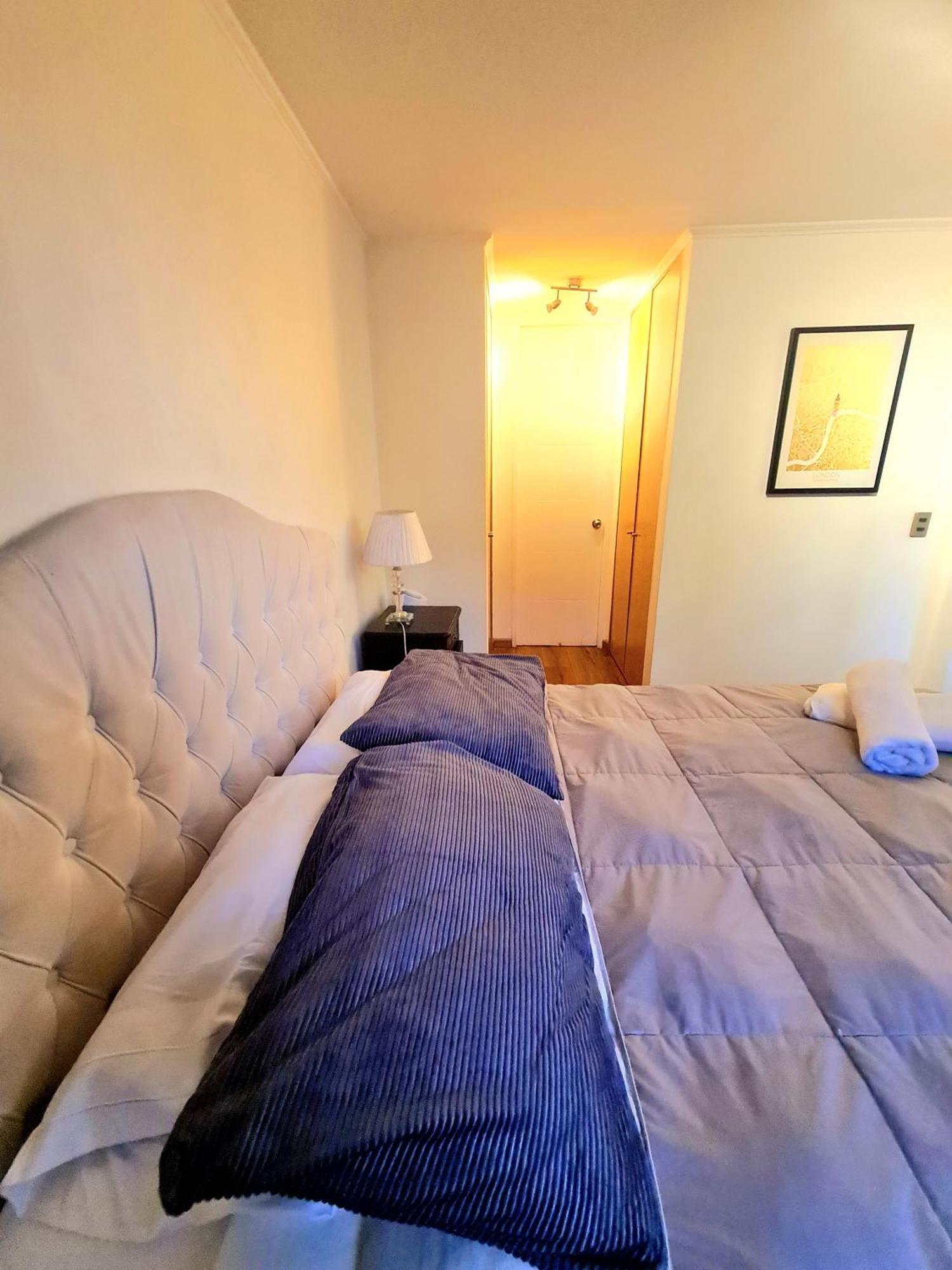 Apartamento Acogedor - Hospital Uc - Centro Apartment Santiago