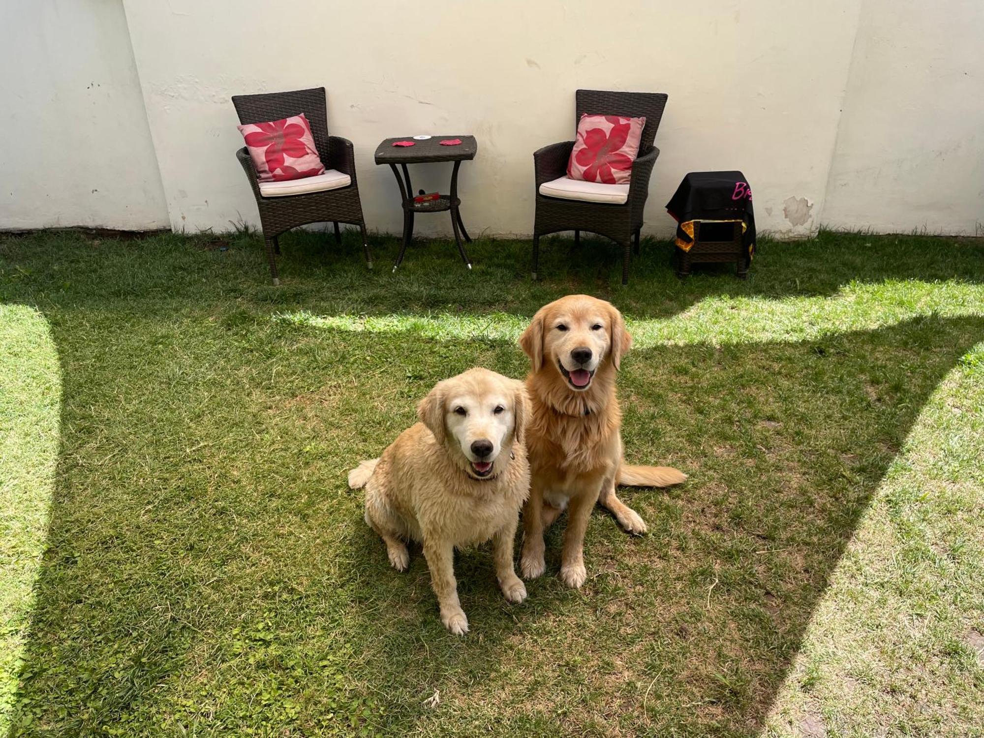 Casa Del Gringo Homestay