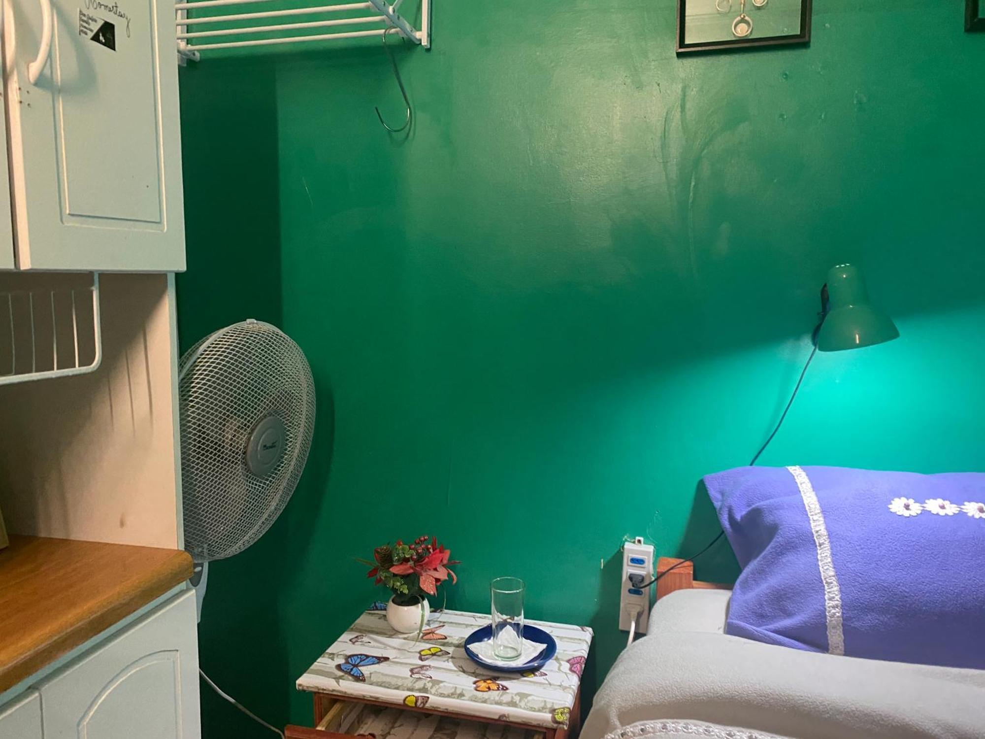 Don Quijote Family Homestay * Santiago