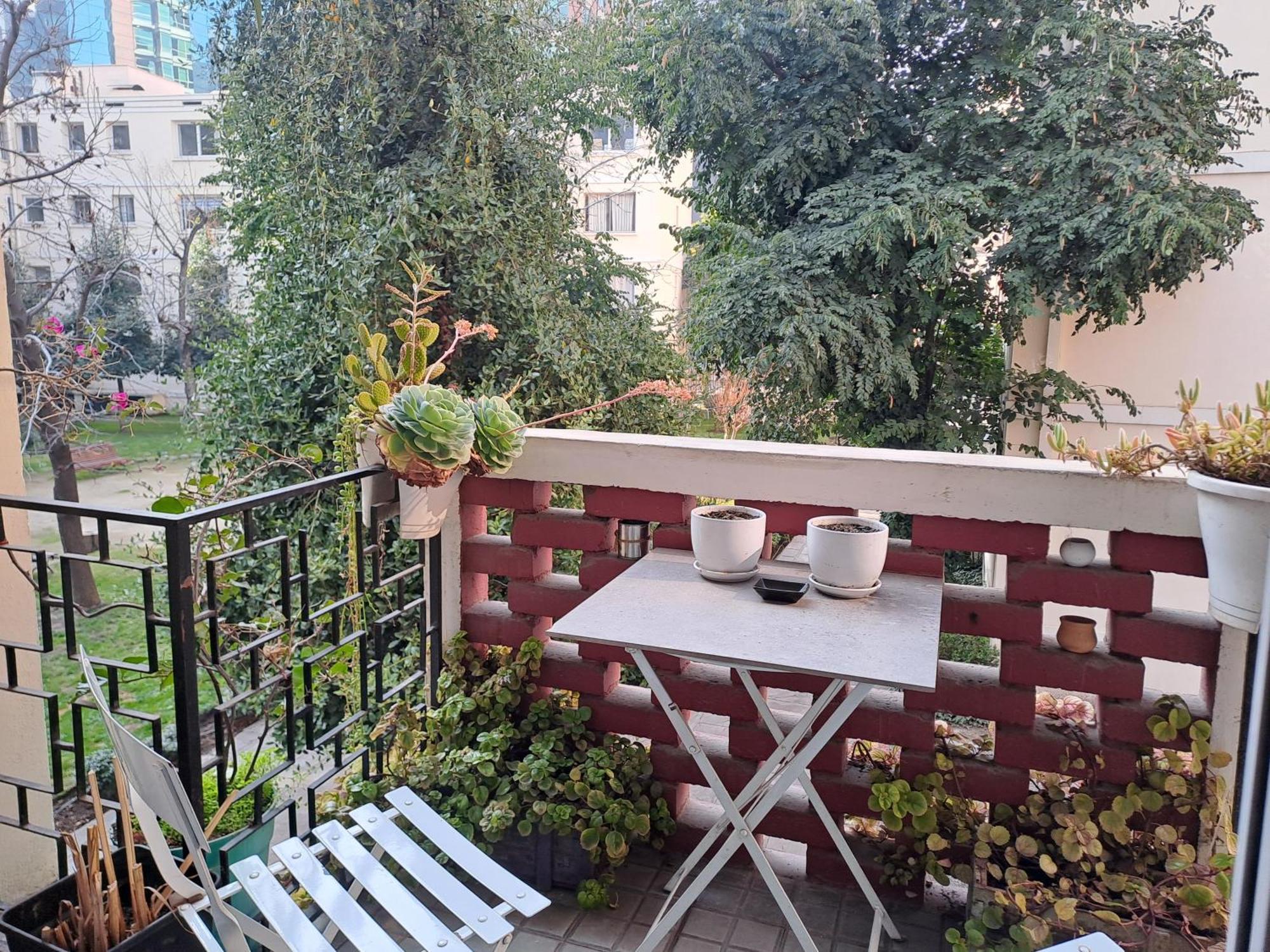 Apartment Oasis En Providencia