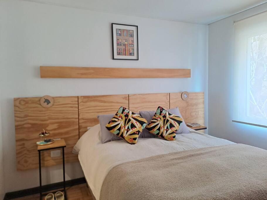 Oasis En Providencia Apartment