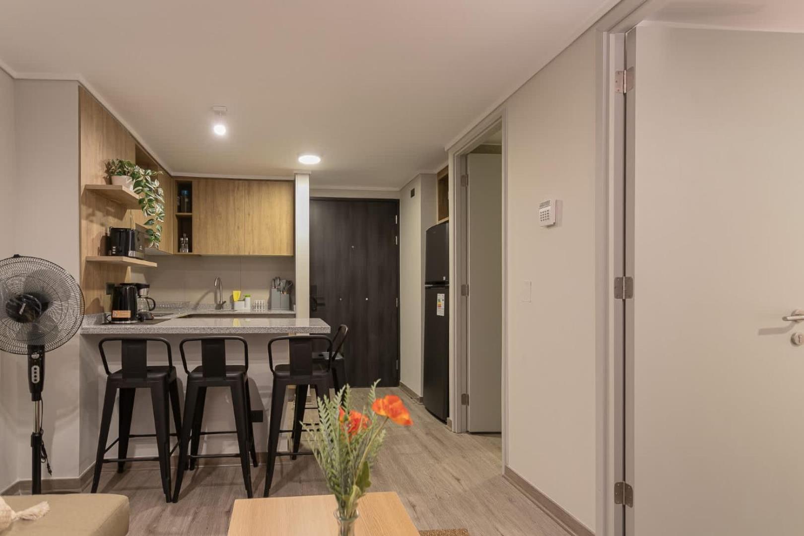 Apartamento 1d1b Con Encanto Santiaguino *