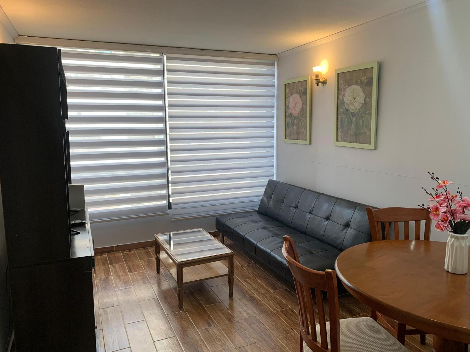 Apartamento Comodo Y Centrico En Apartamento Santiago de Chile