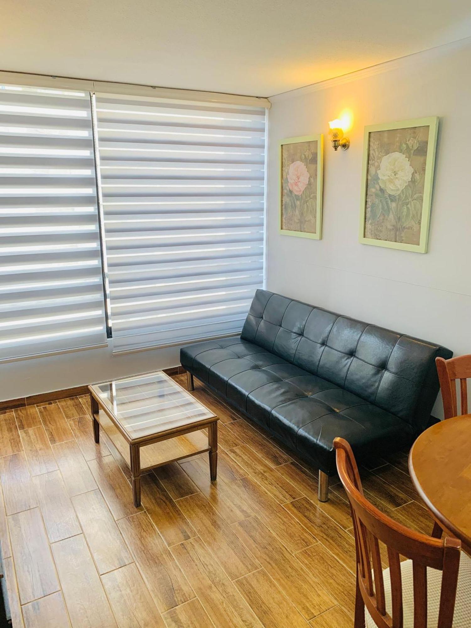 Apartamento Comodo Y Centrico En Apartamento Santiago de Chile