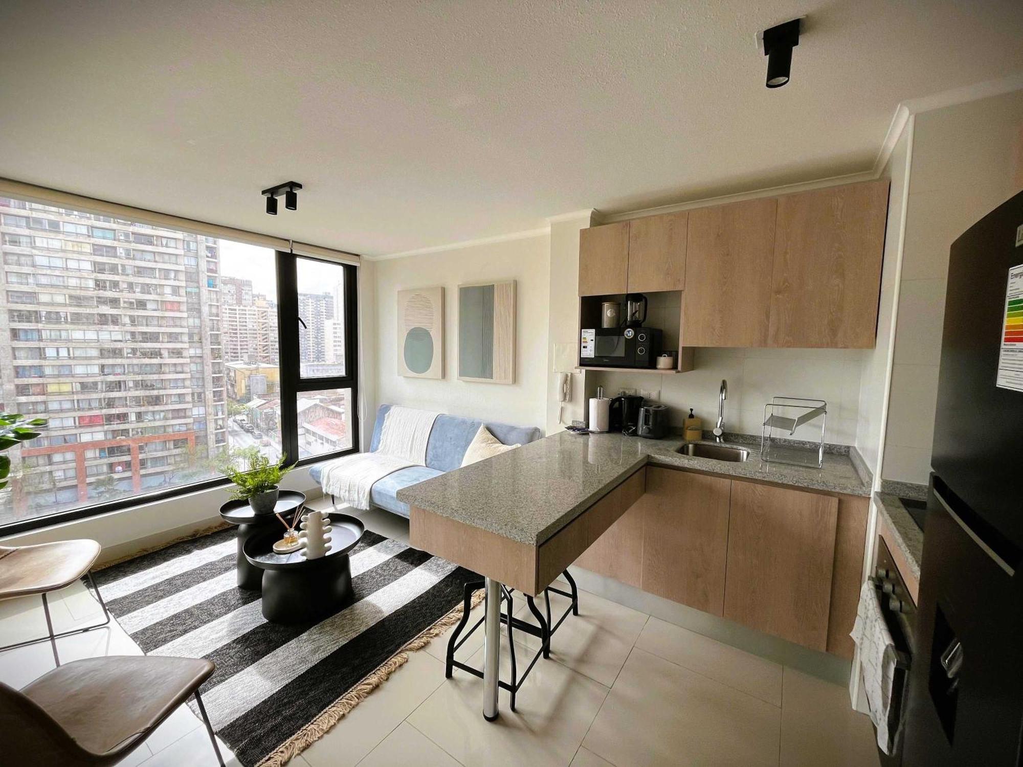 Hom I Acogedor Y Luminoso Depto 1d1b 2pax Apartment
