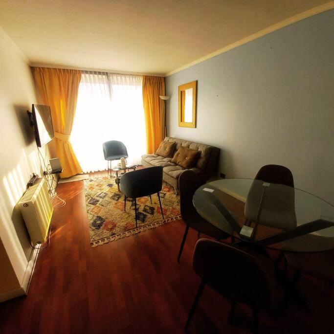 Comodo Y Amplio Apartamento Providencia * Santiago