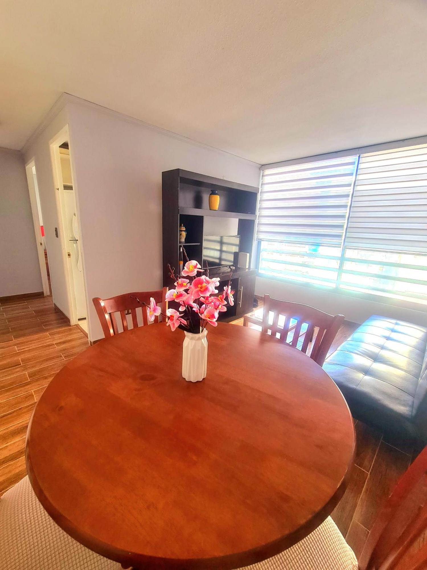 Apartamento 1 Centro Santiago